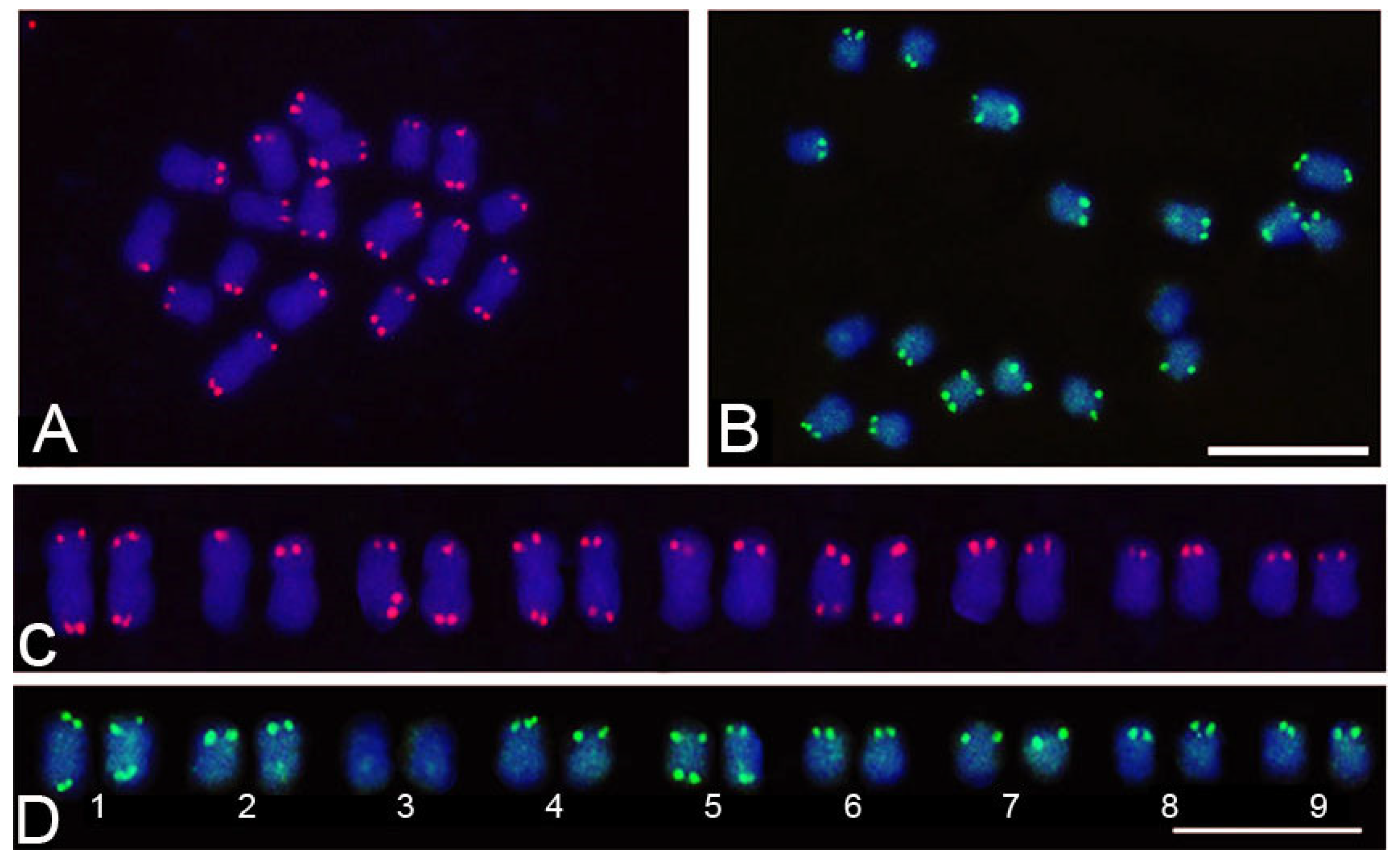 Genes 15 00418 g007 Genes 15 00418 g007