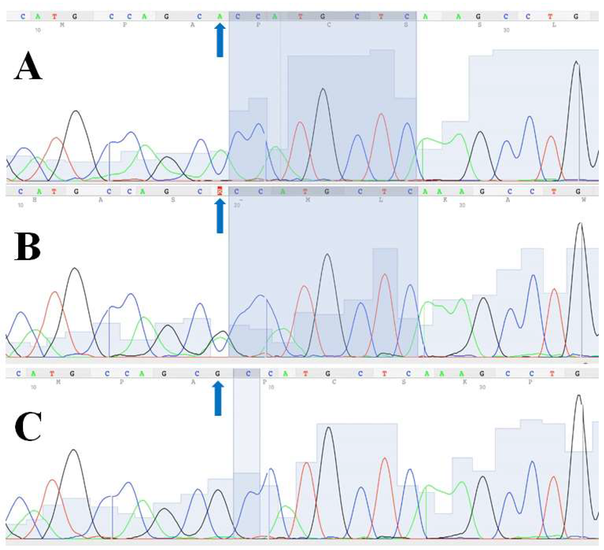 Genes 15 00419 g001 Genes 15 00419 g001