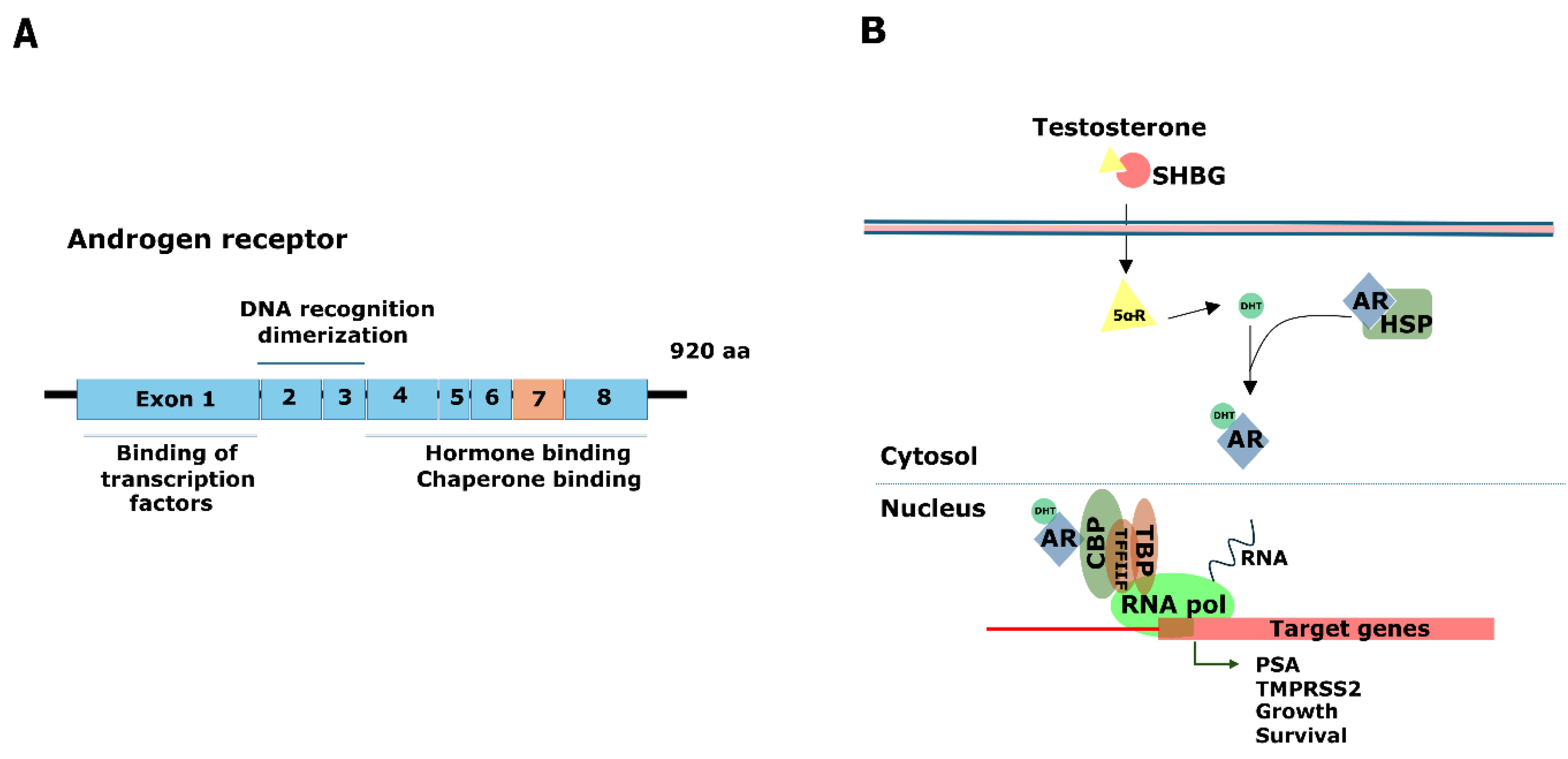 Genes 15 00450 g002 Genes 15 00450 g002