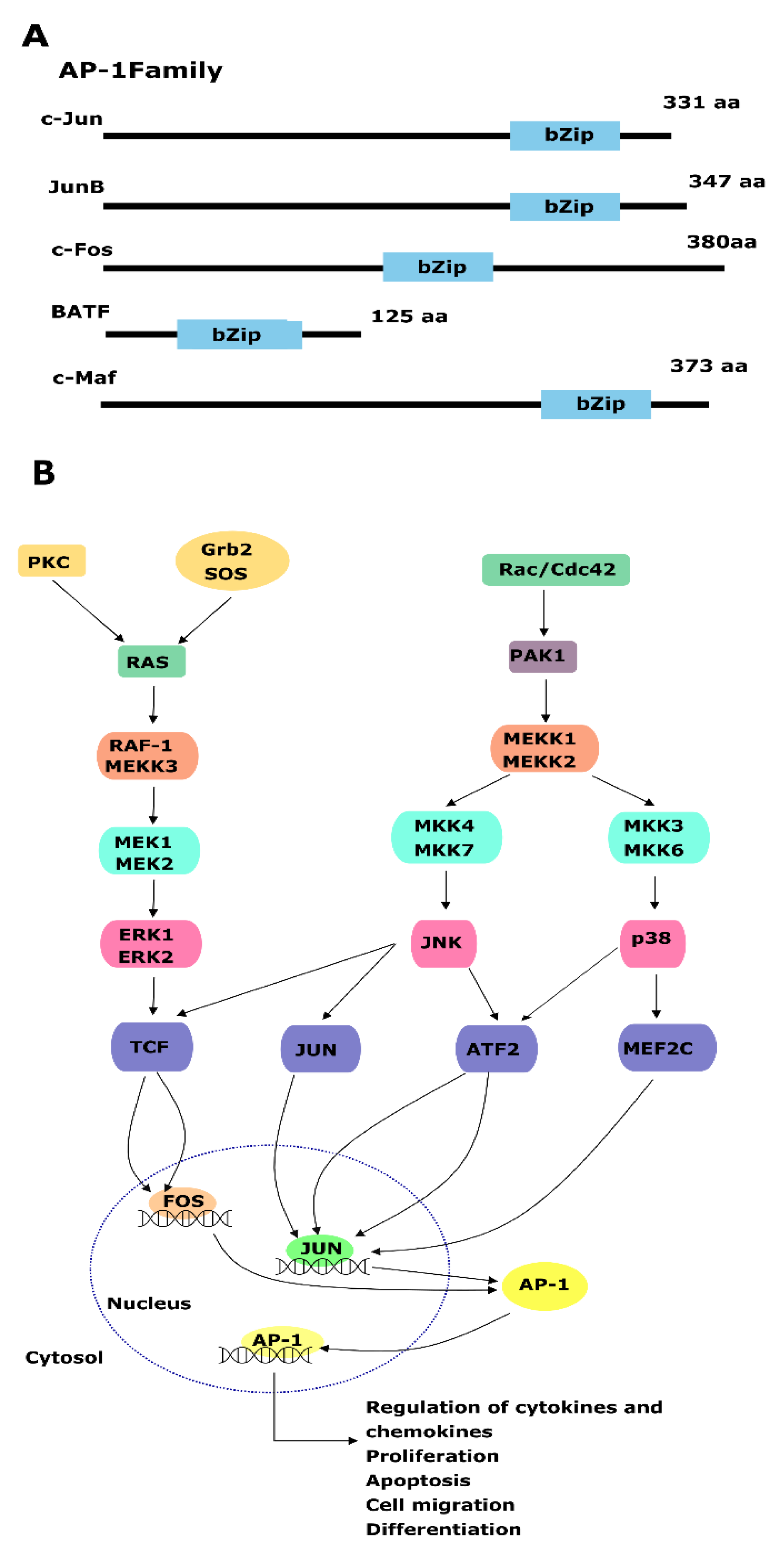 Genes 15 00450 g003 Genes 15 00450 g003