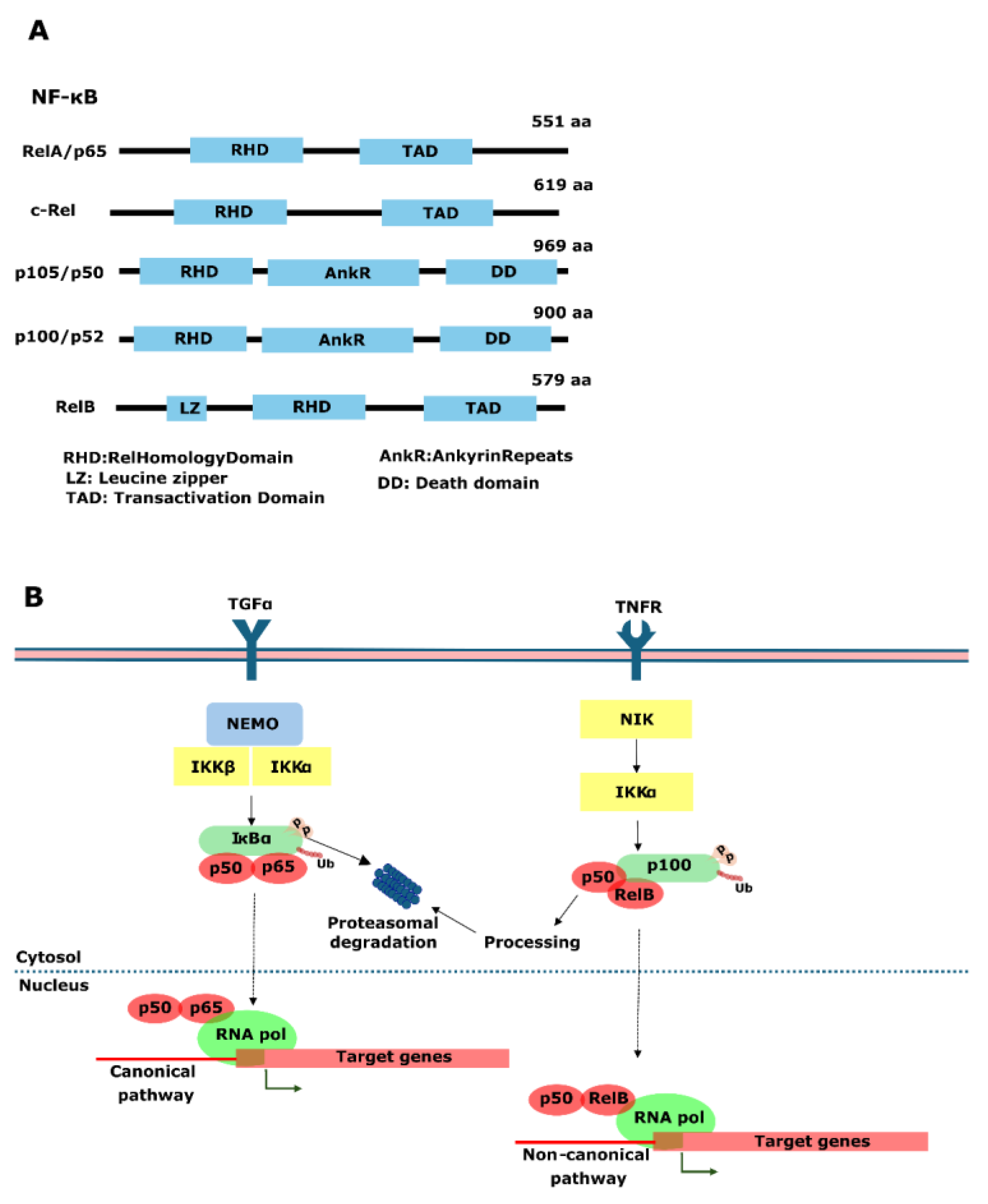 Genes 15 00450 g004 Genes 15 00450 g004