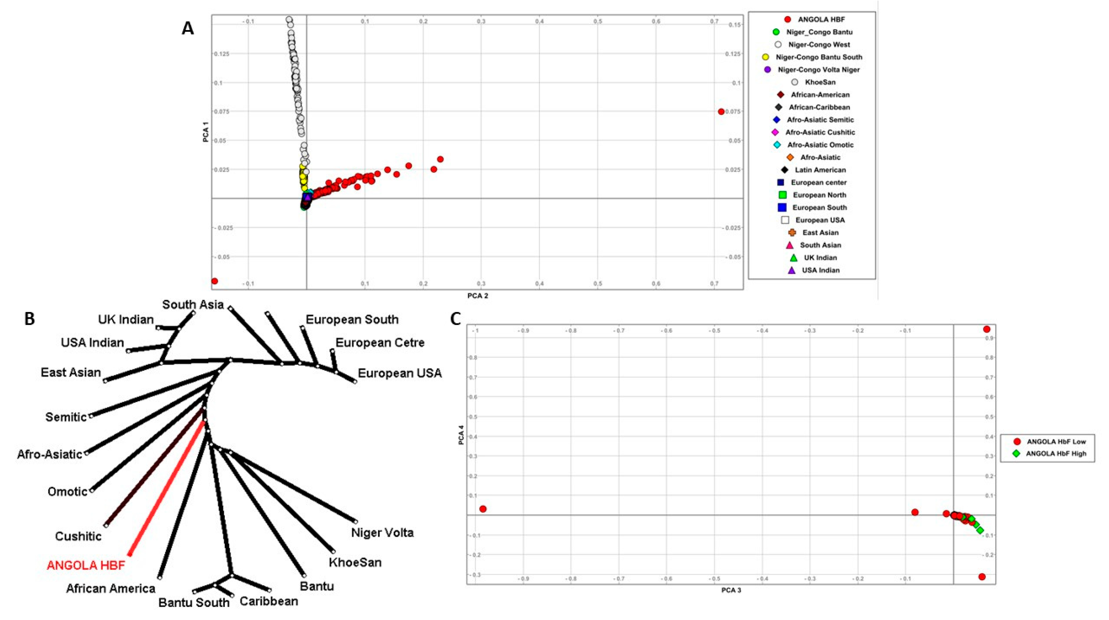 Genes 15 00469 g002