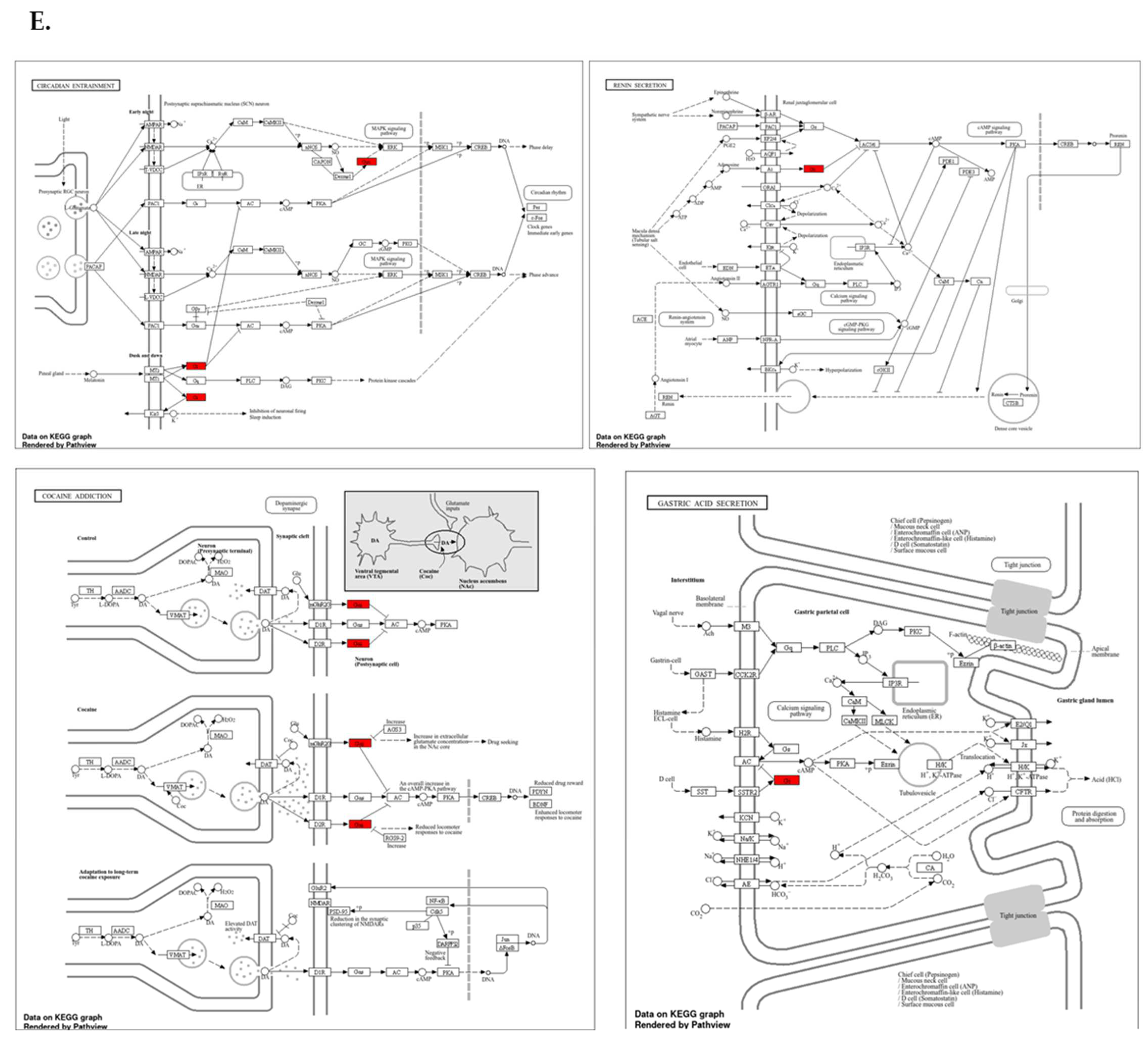 Genes 15 00474 g004b