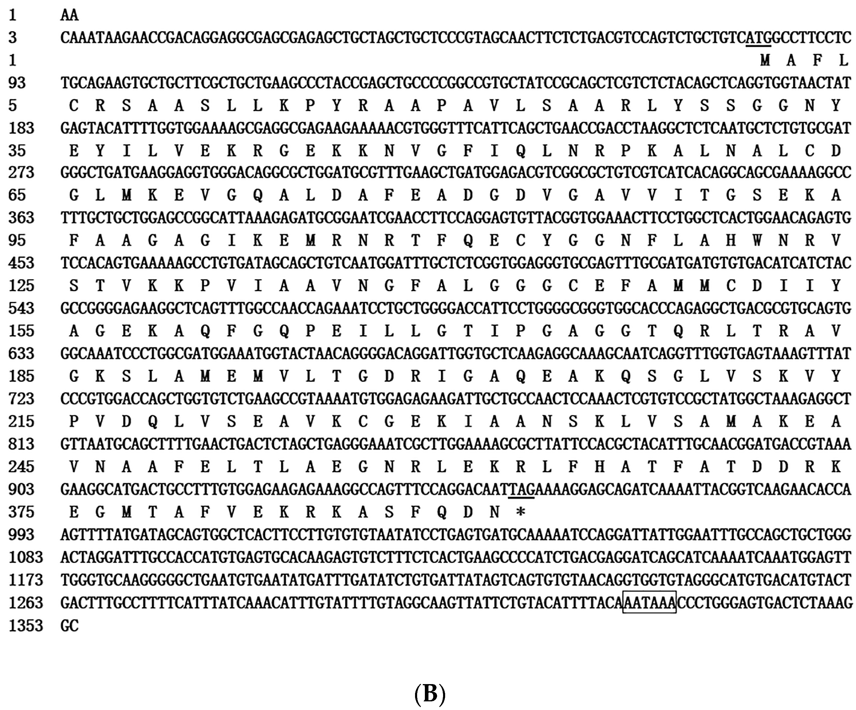 Genes 15 00480 g001b