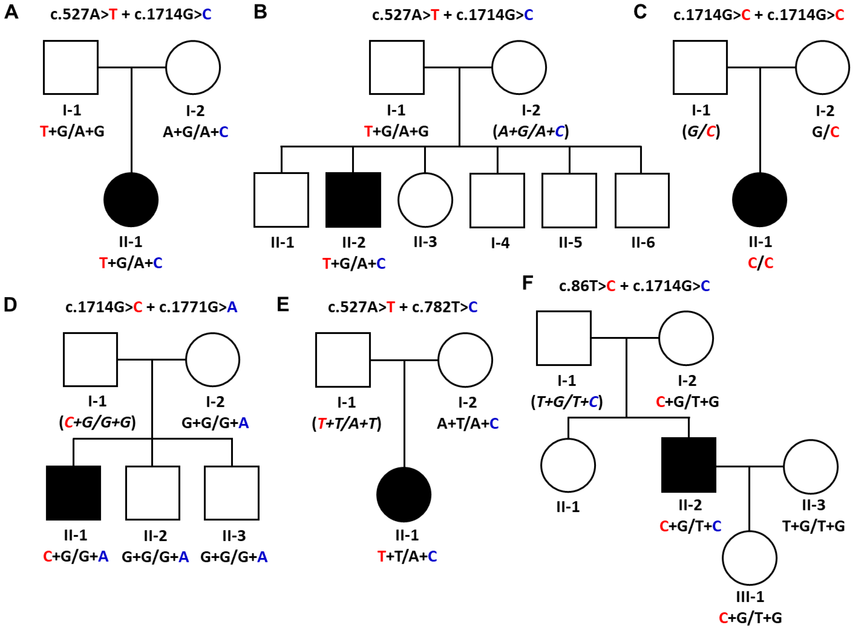 Genes 15 00485 g001