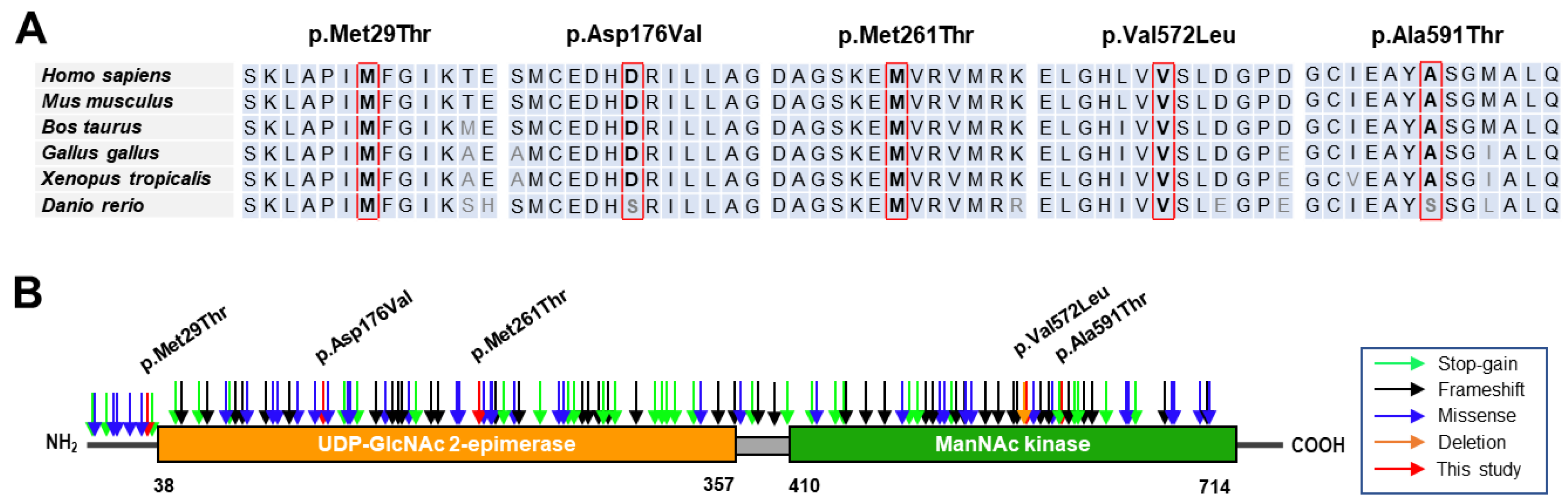 Genes 15 00485 g002