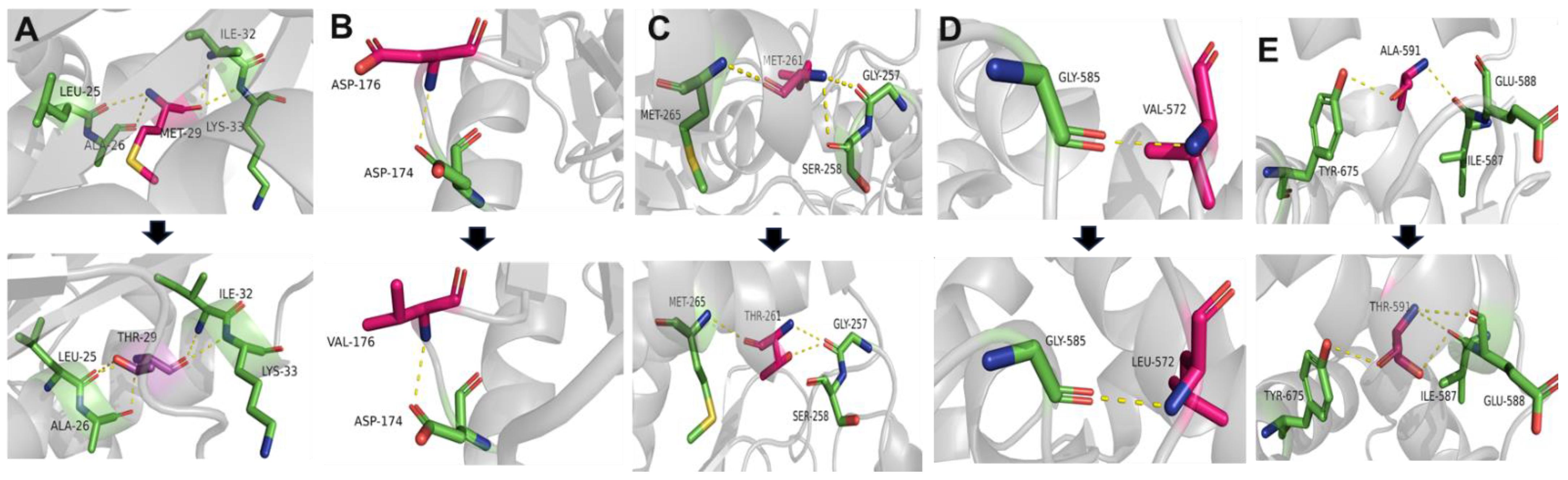 Genes 15 00485 g003