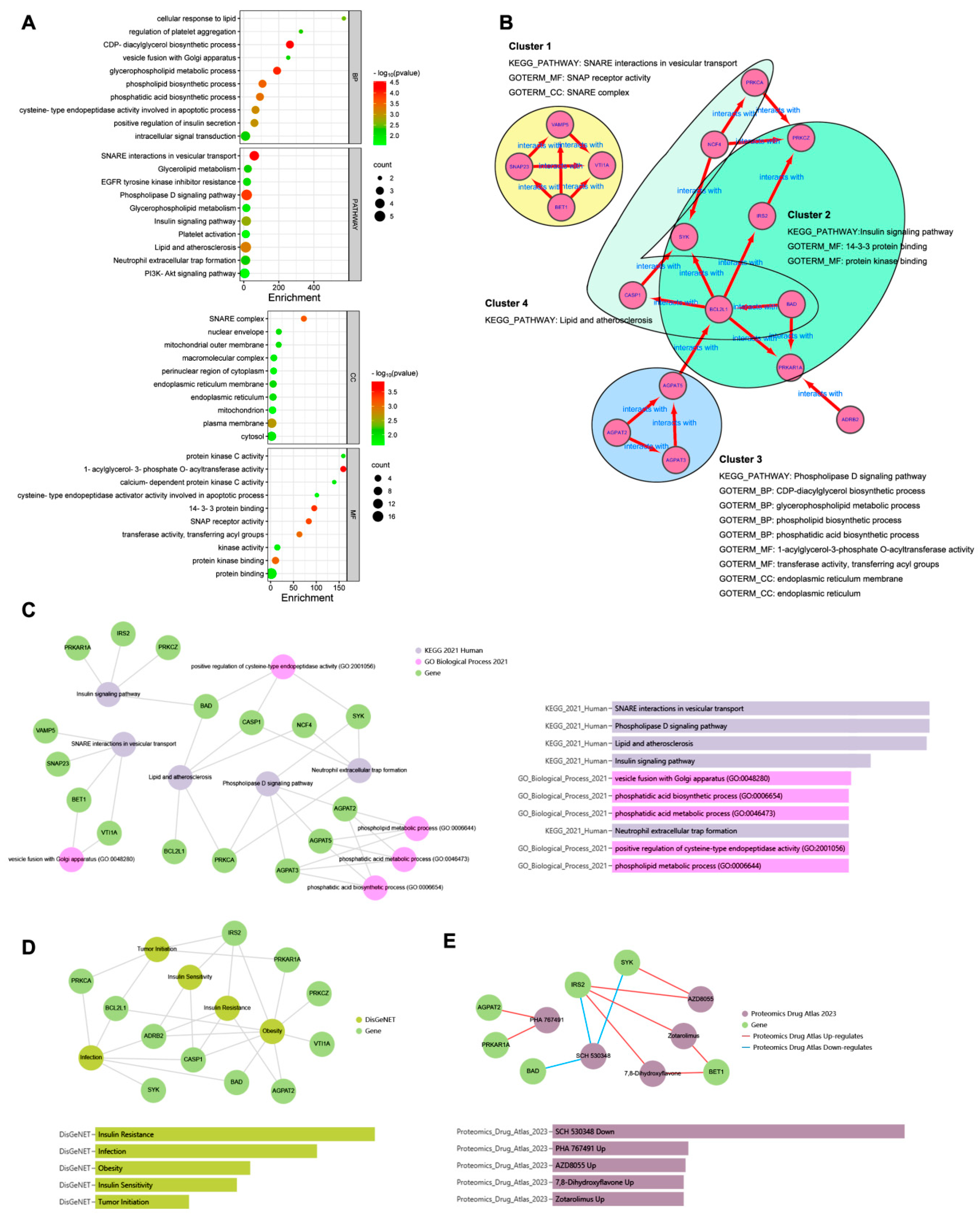 Genes 15 00494 g004