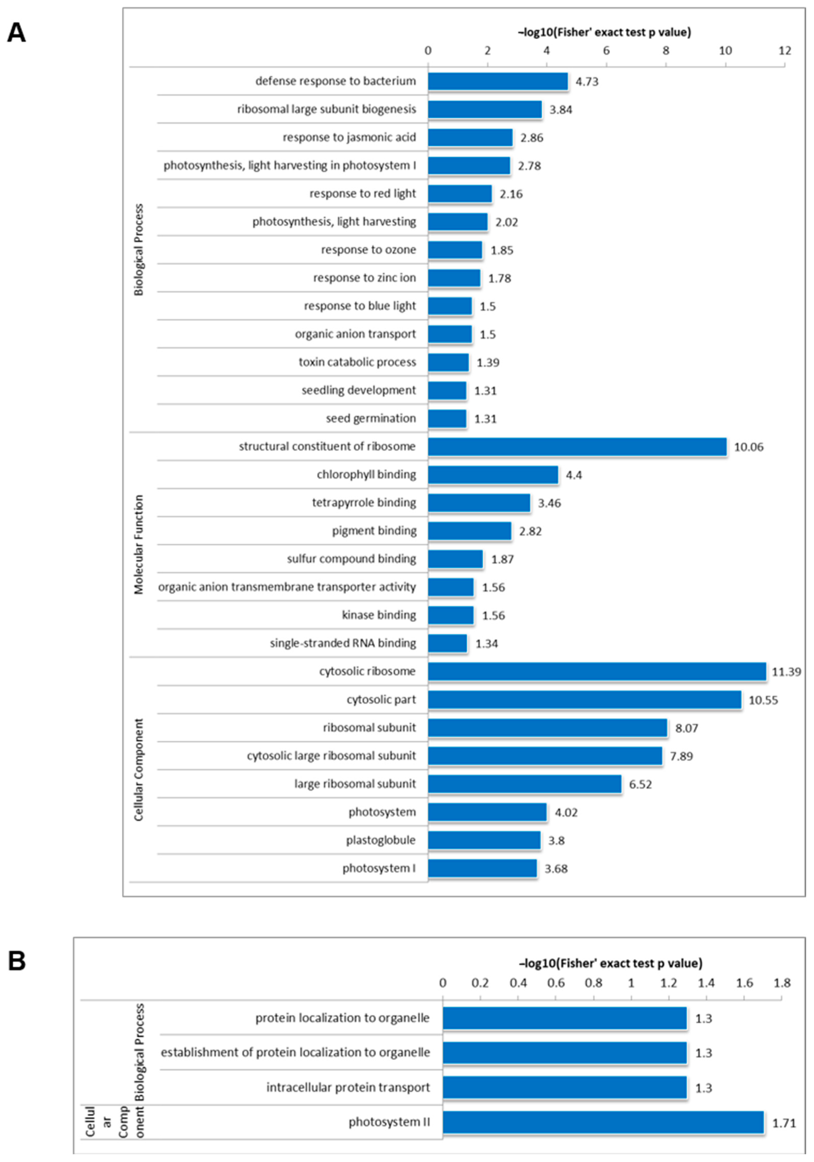 Genes 15 00499 g004
