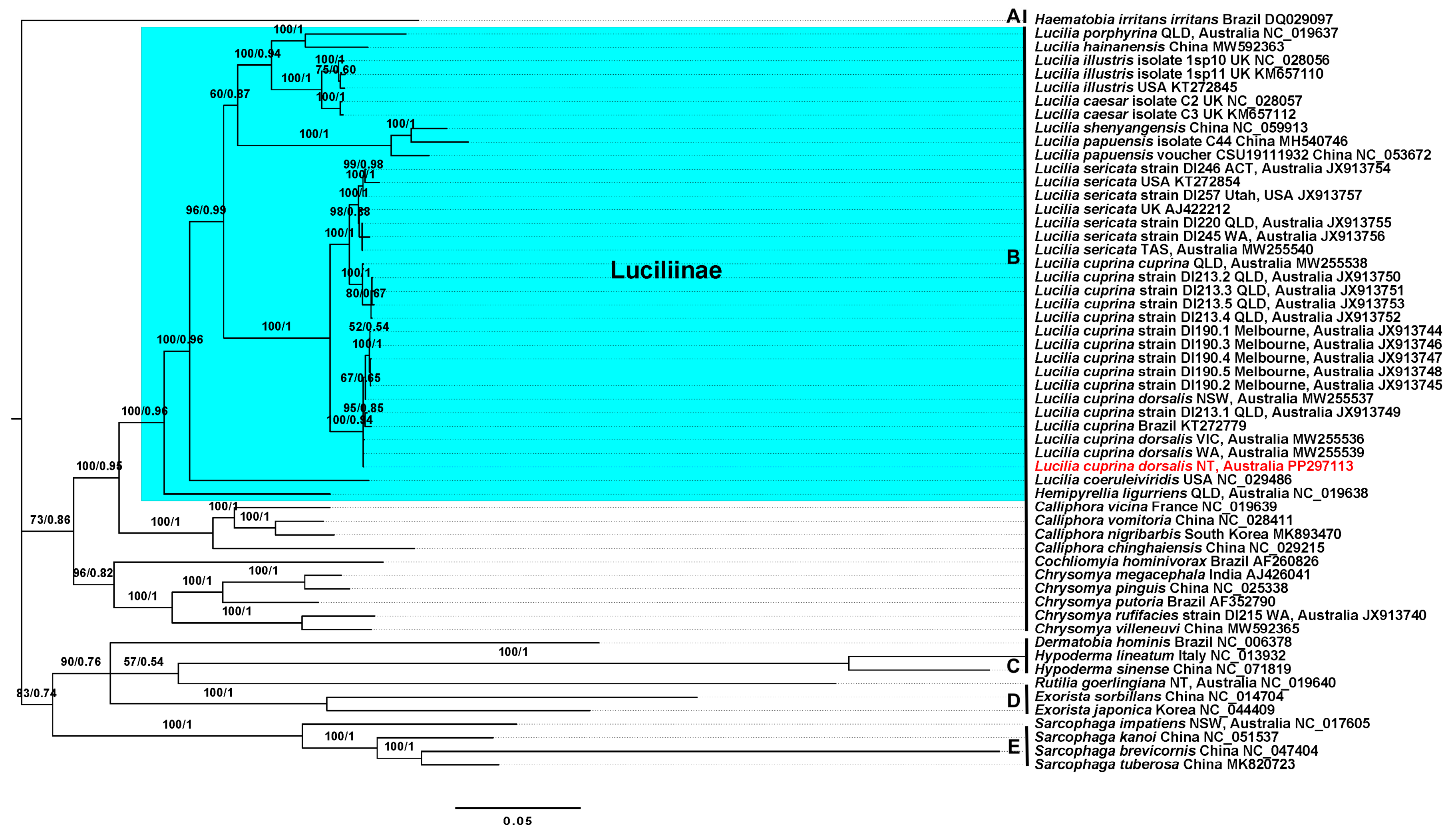 Genes 15 00506 g004 Genes 15 00506 g004