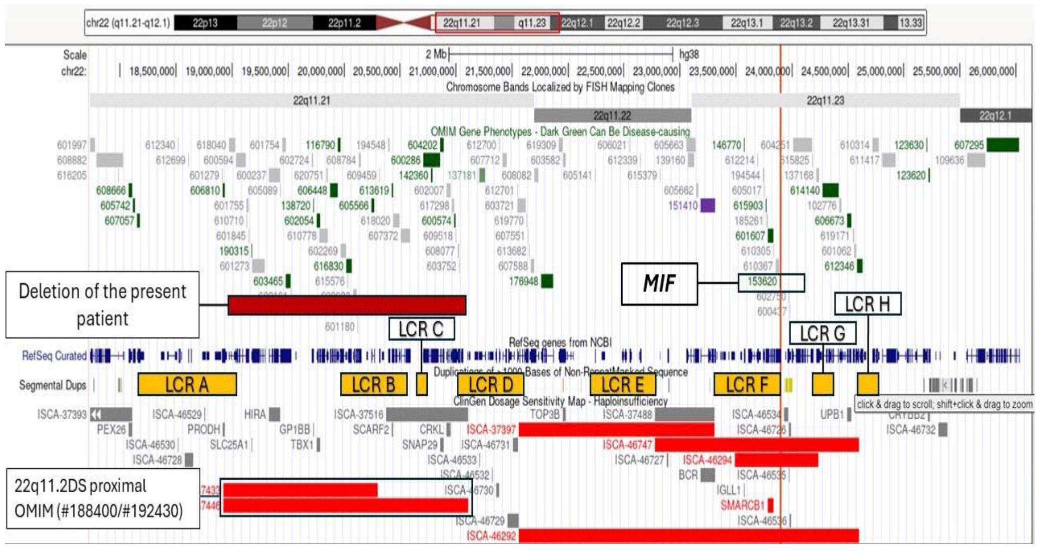 Genes 15 00513 g004