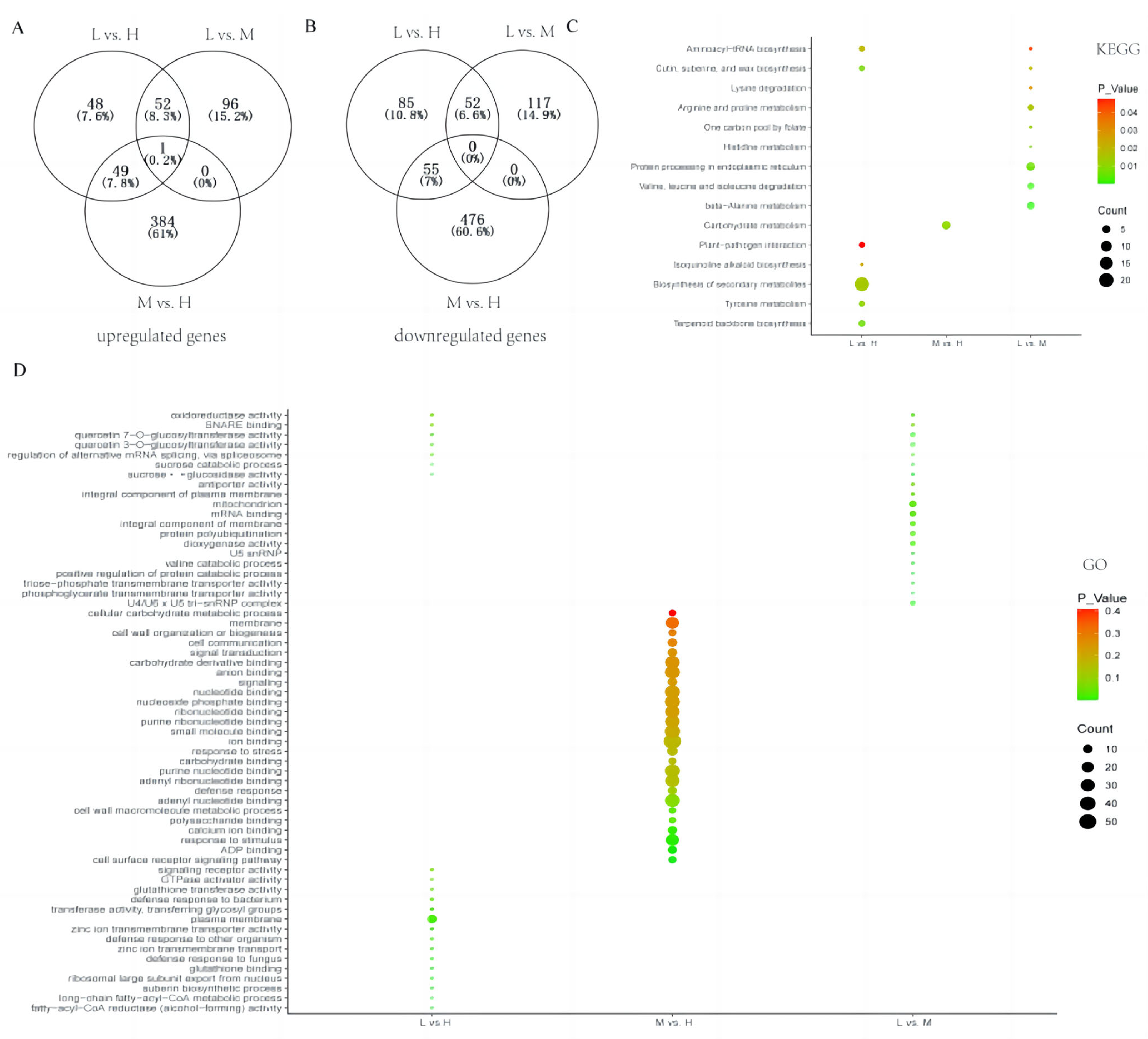 Genes 15 00515 g002