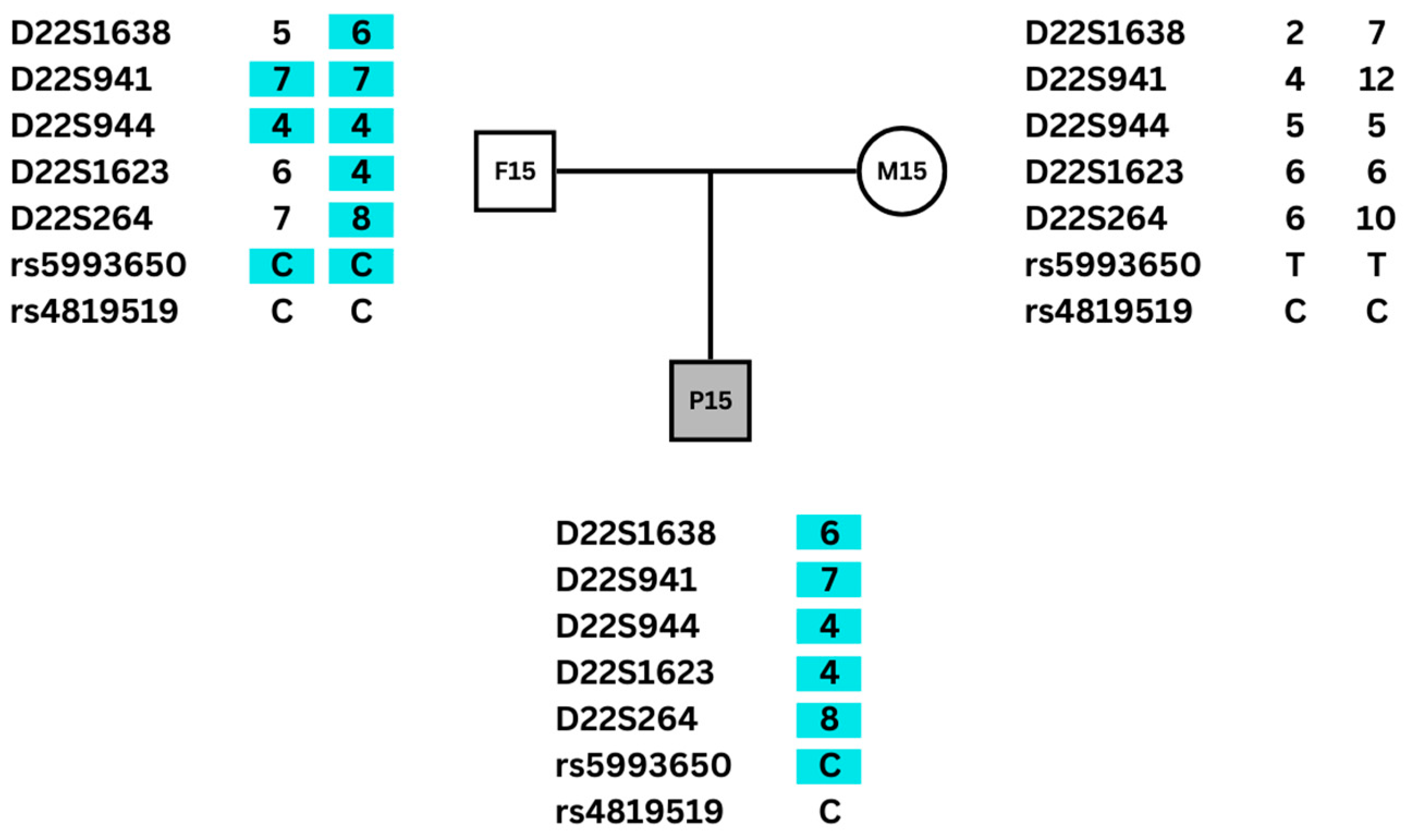 Genes 15 00518 g001