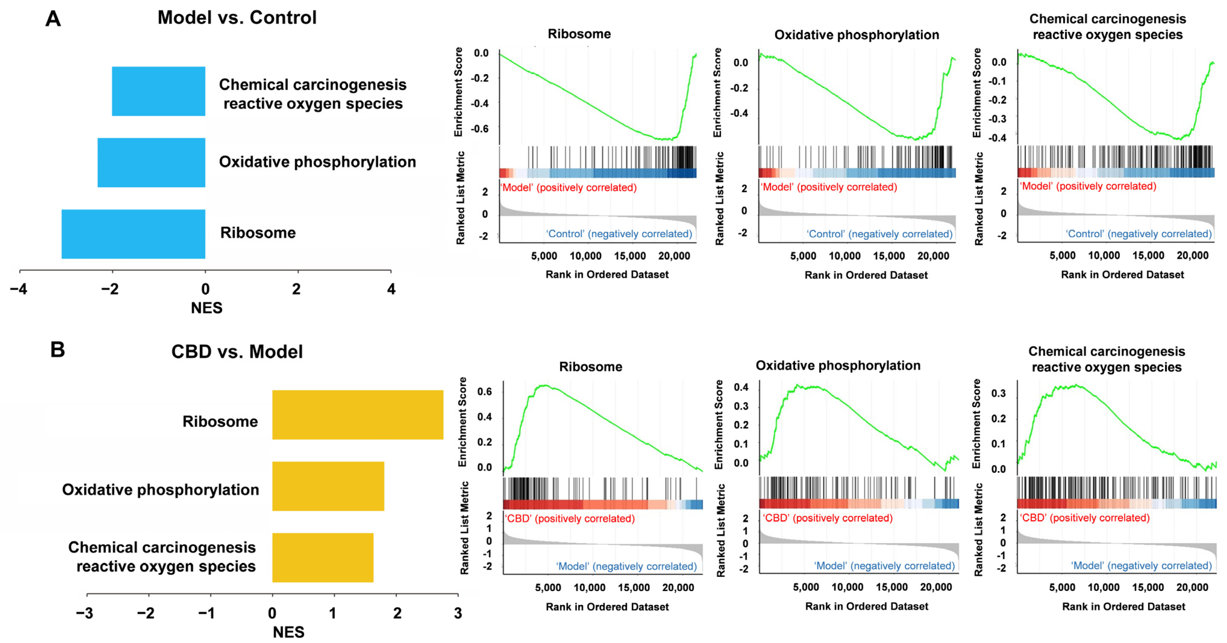 Genes 15 00519 g010