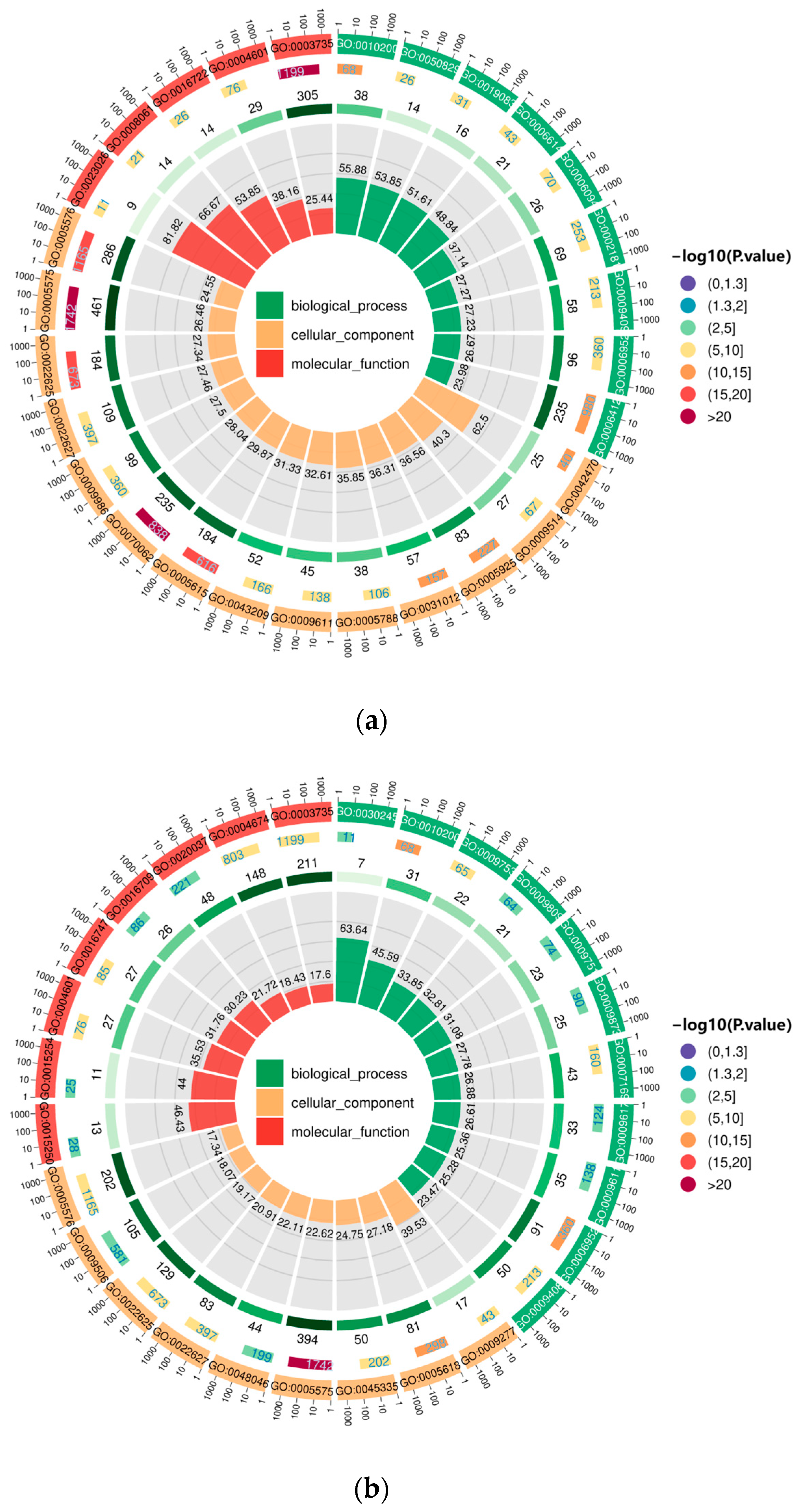 Genes 15 00528 g006a