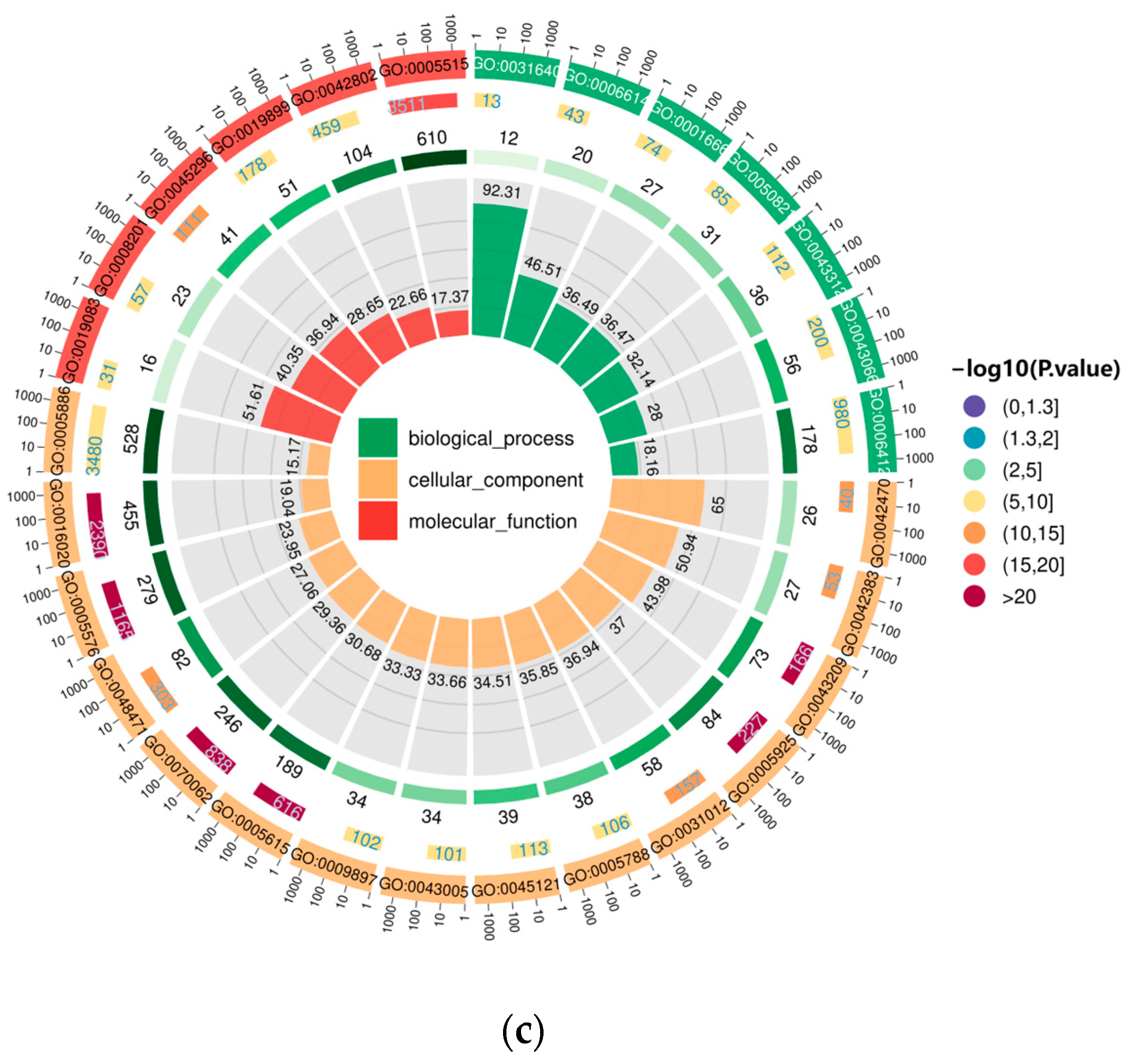 Genes 15 00528 g006b