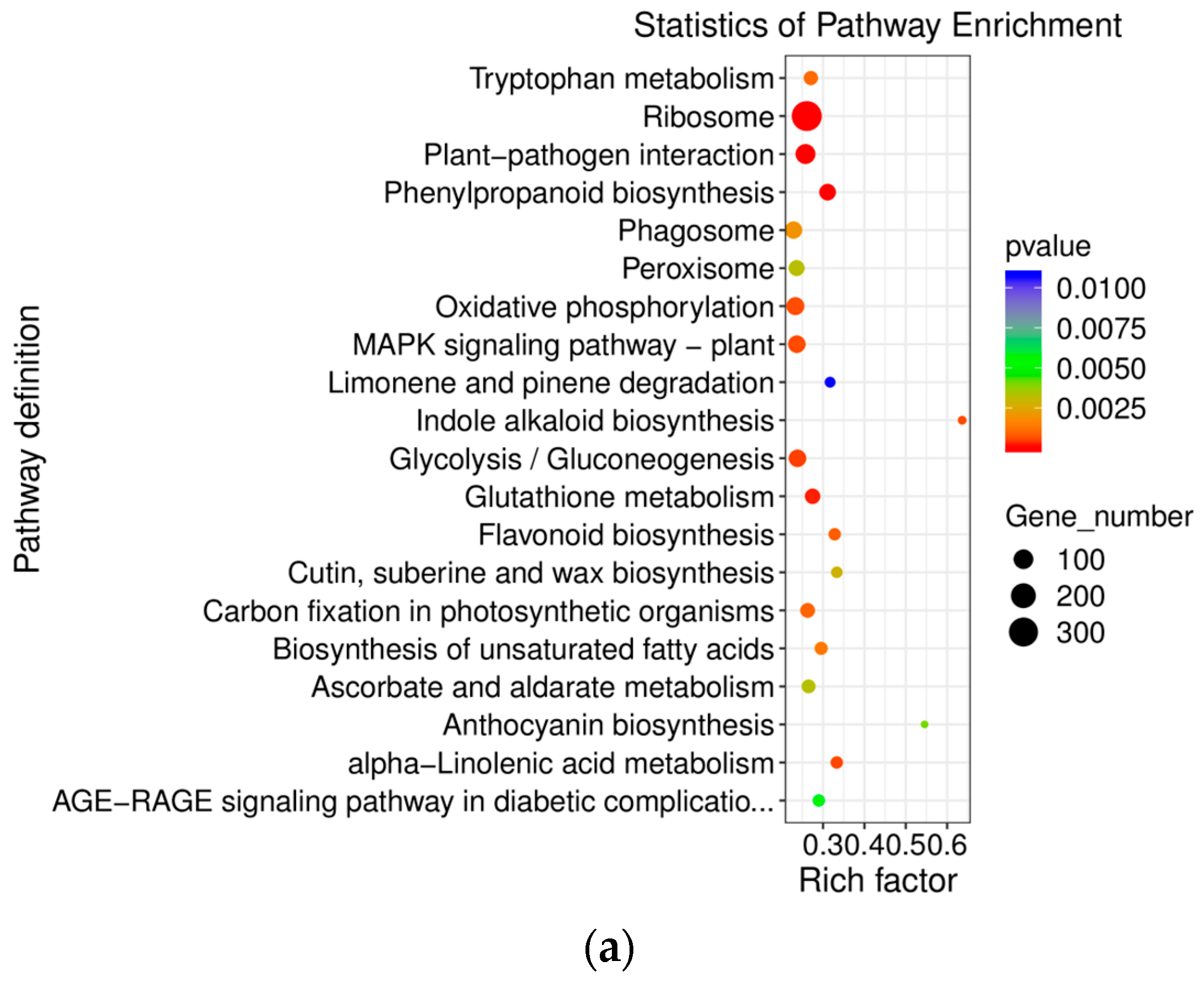 Genes 15 00528 g007a