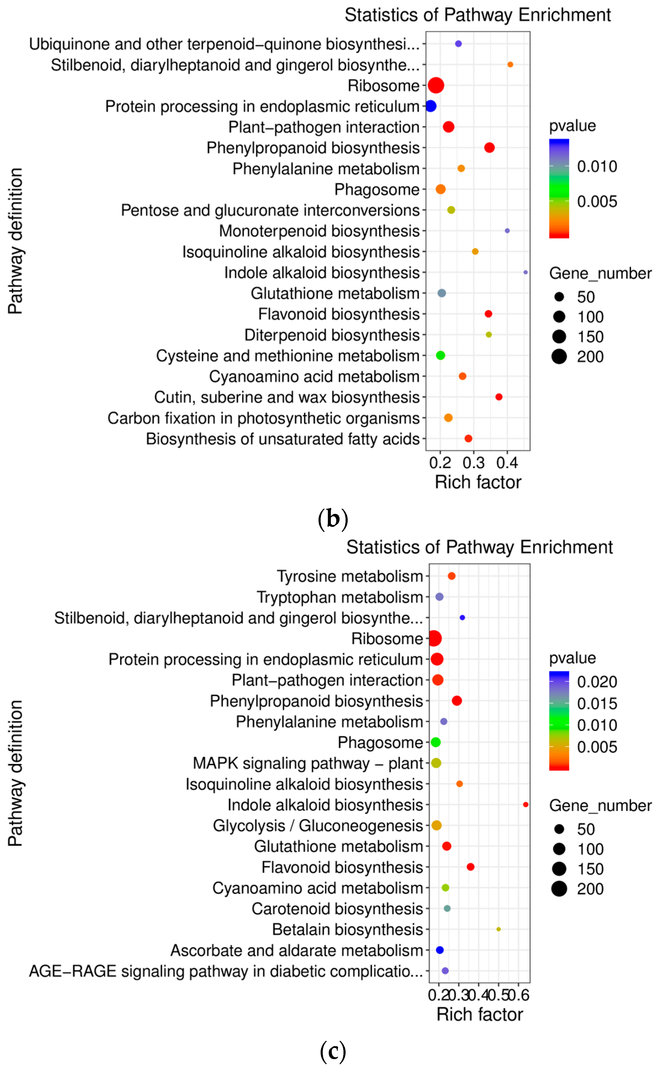 Genes 15 00528 g007b