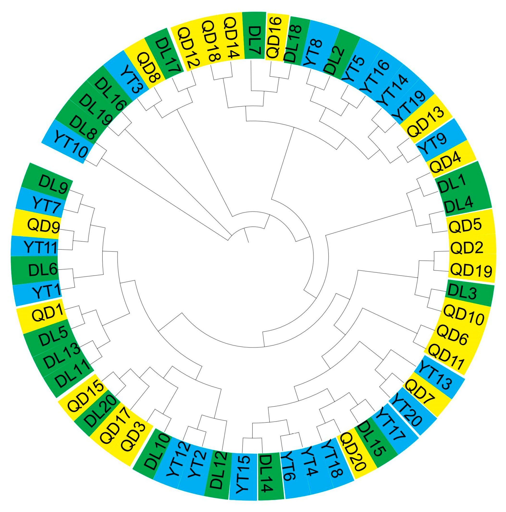 Genes 15 00534 g002