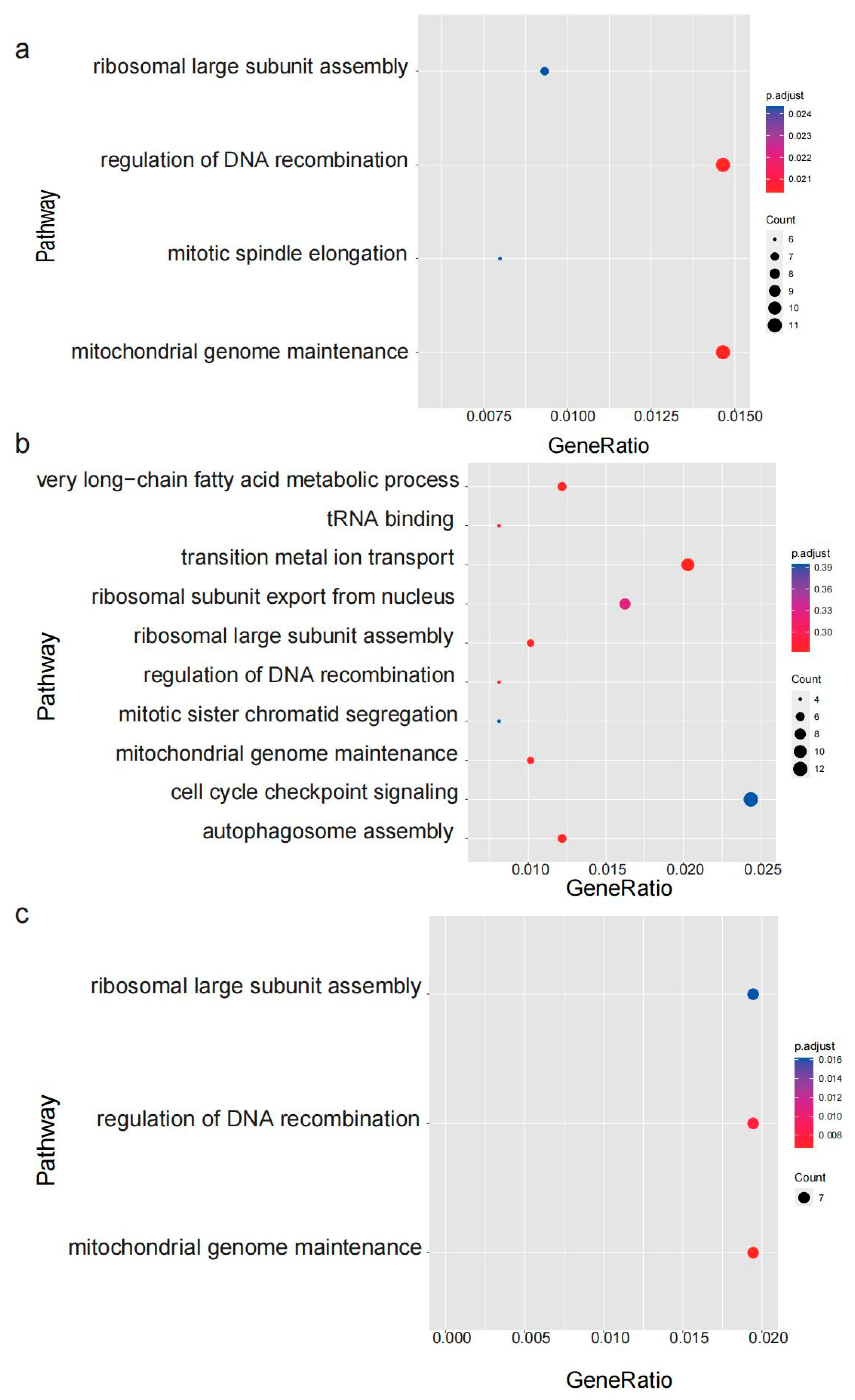 Genes 15 00534 g008