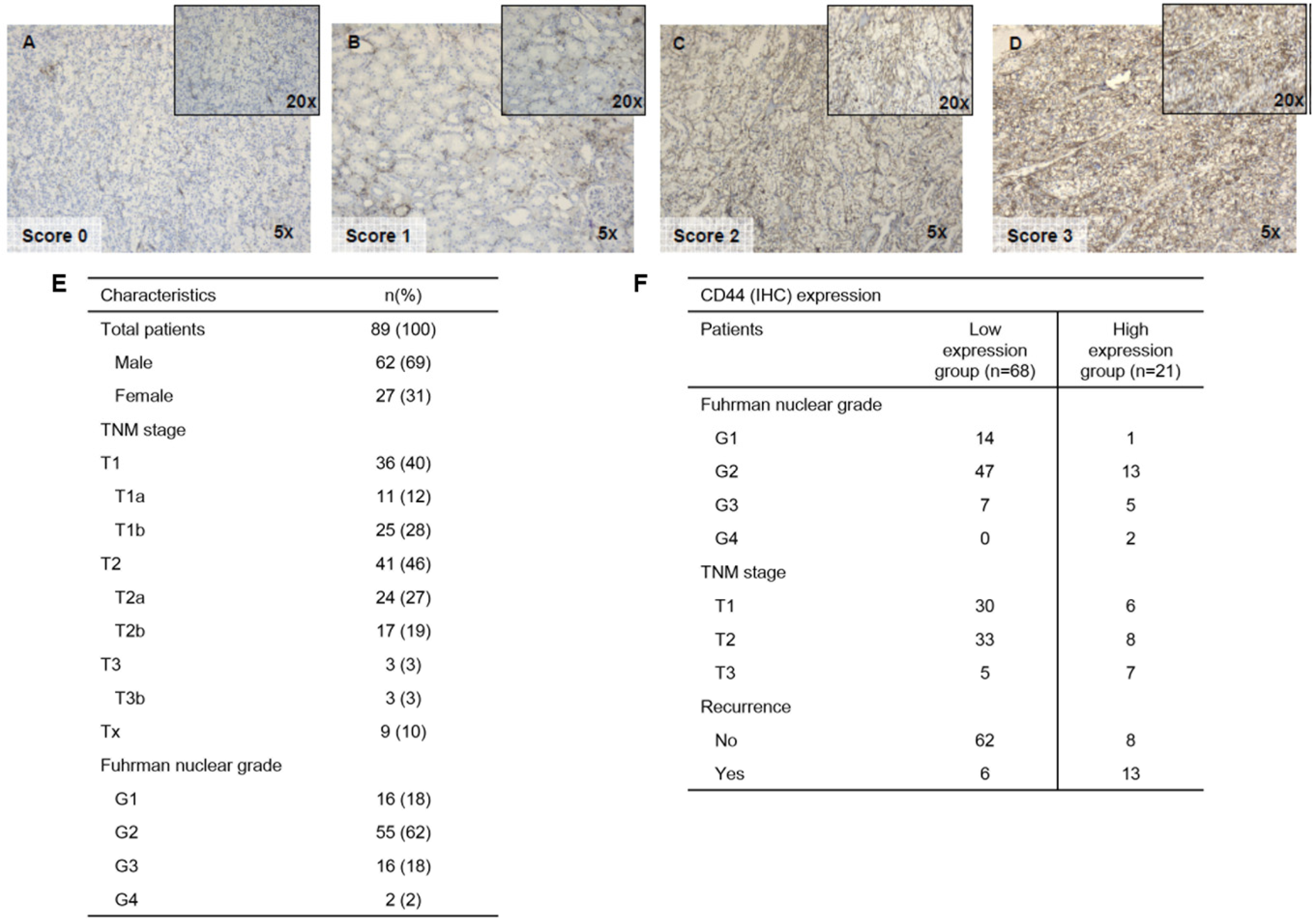 Genes 15 00537 g001 Genes 15 00537 g001