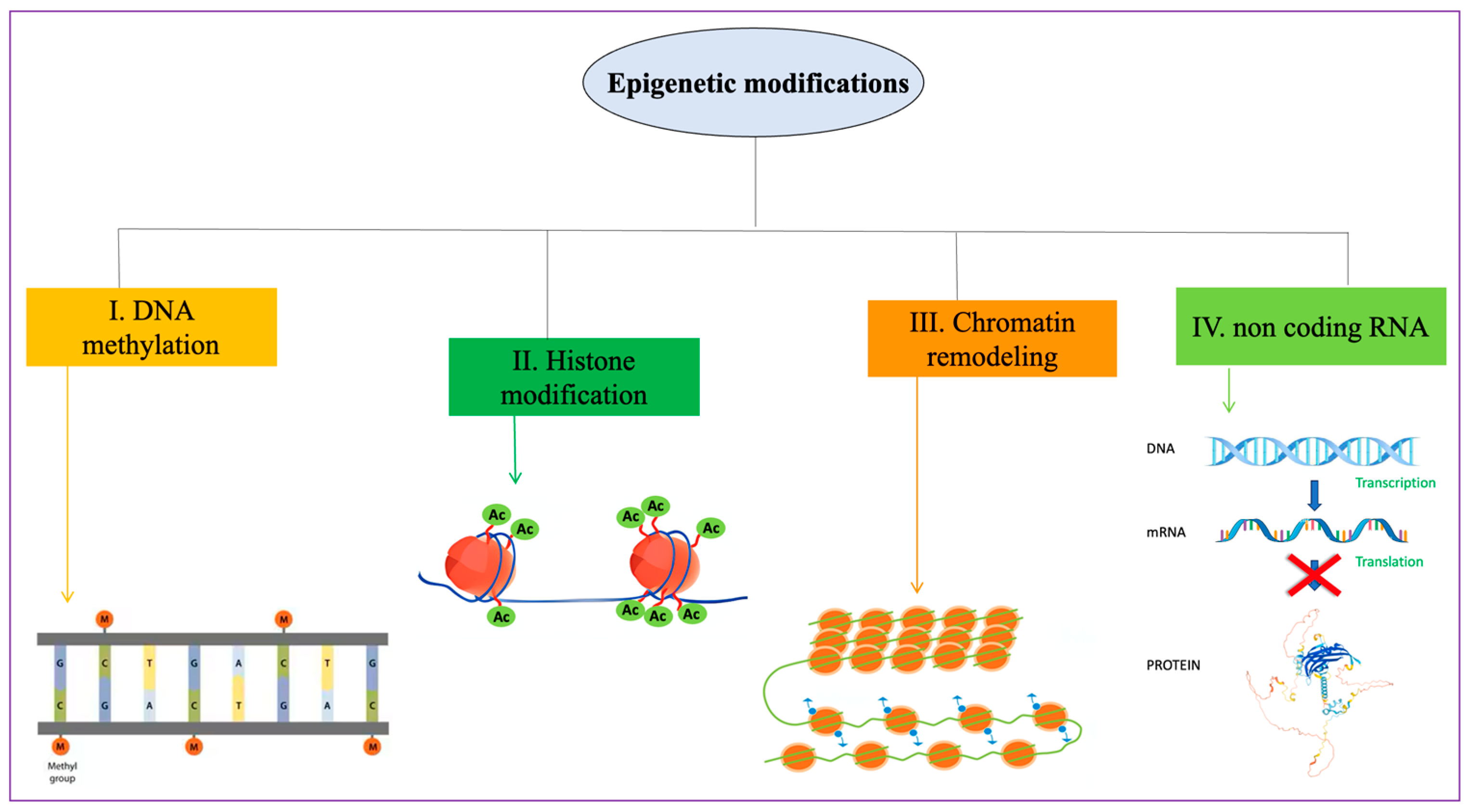 Genes 15 00539 g003 Genes 15 00539 g003