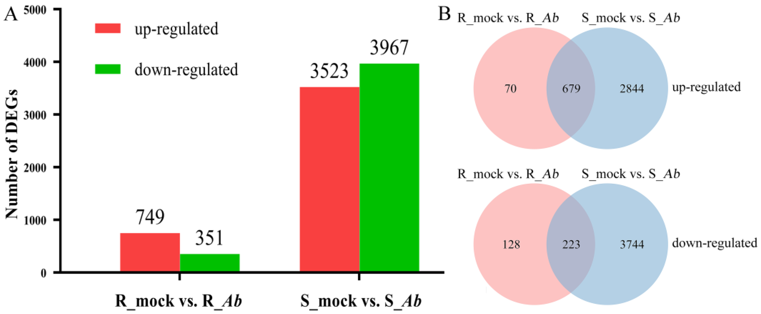 Genes 15 00545 g002