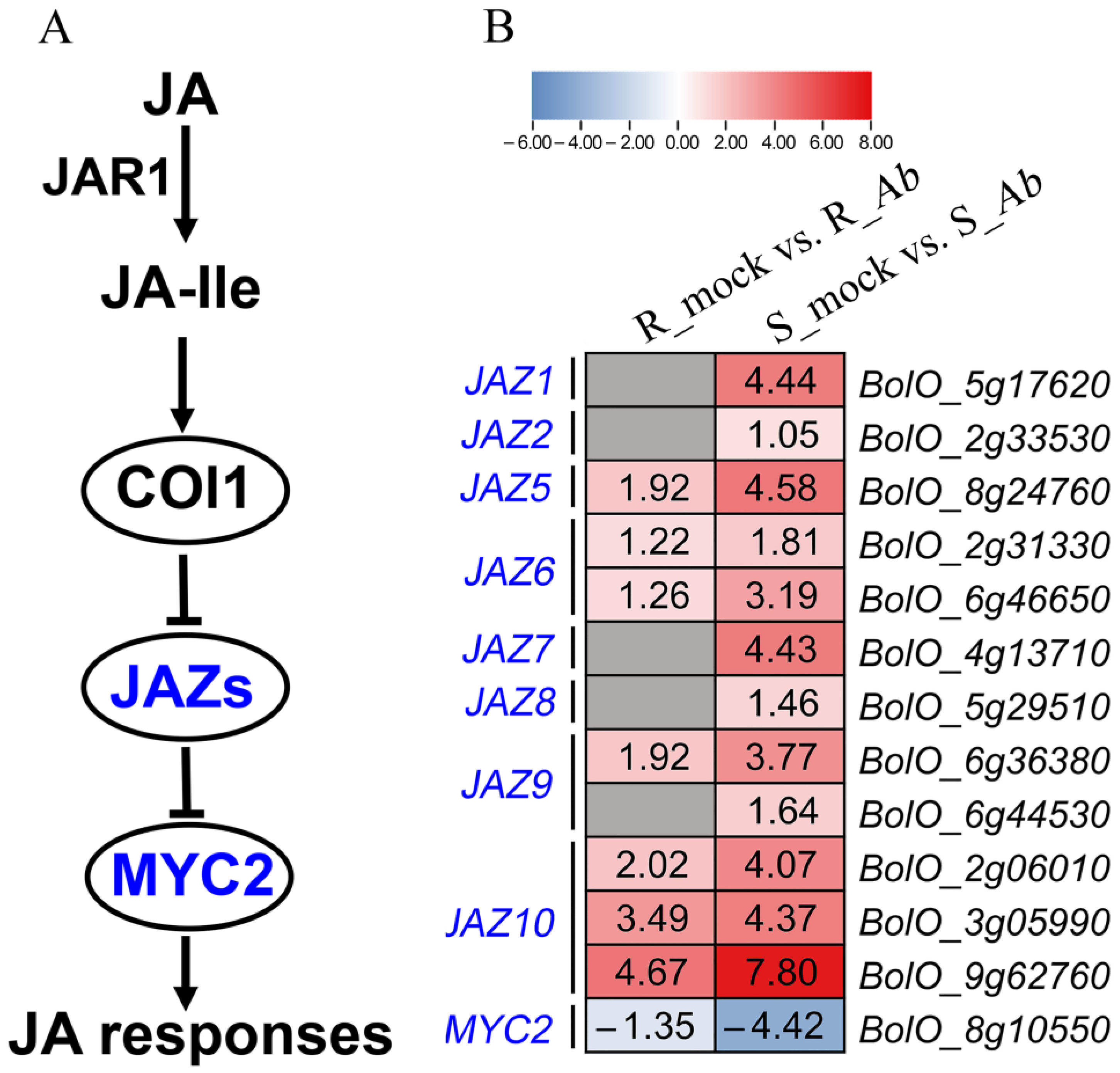 Genes 15 00545 g005