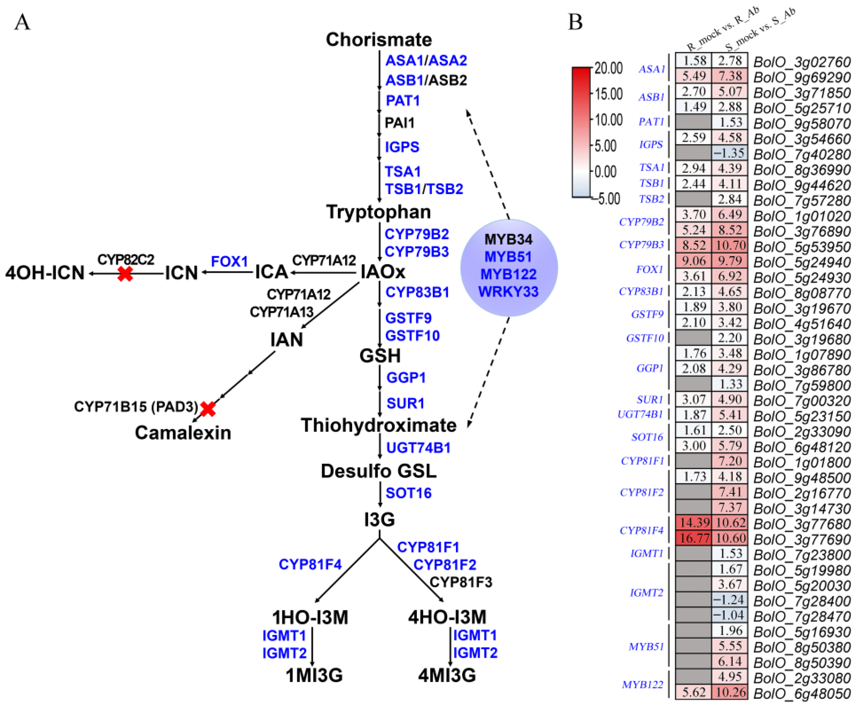 Genes 15 00545 g006