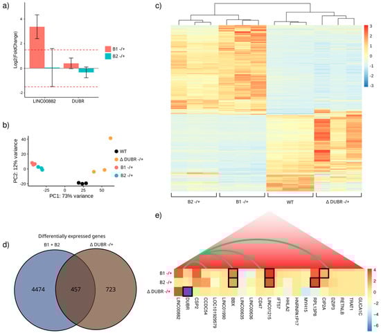 Genes 15 00549 g003