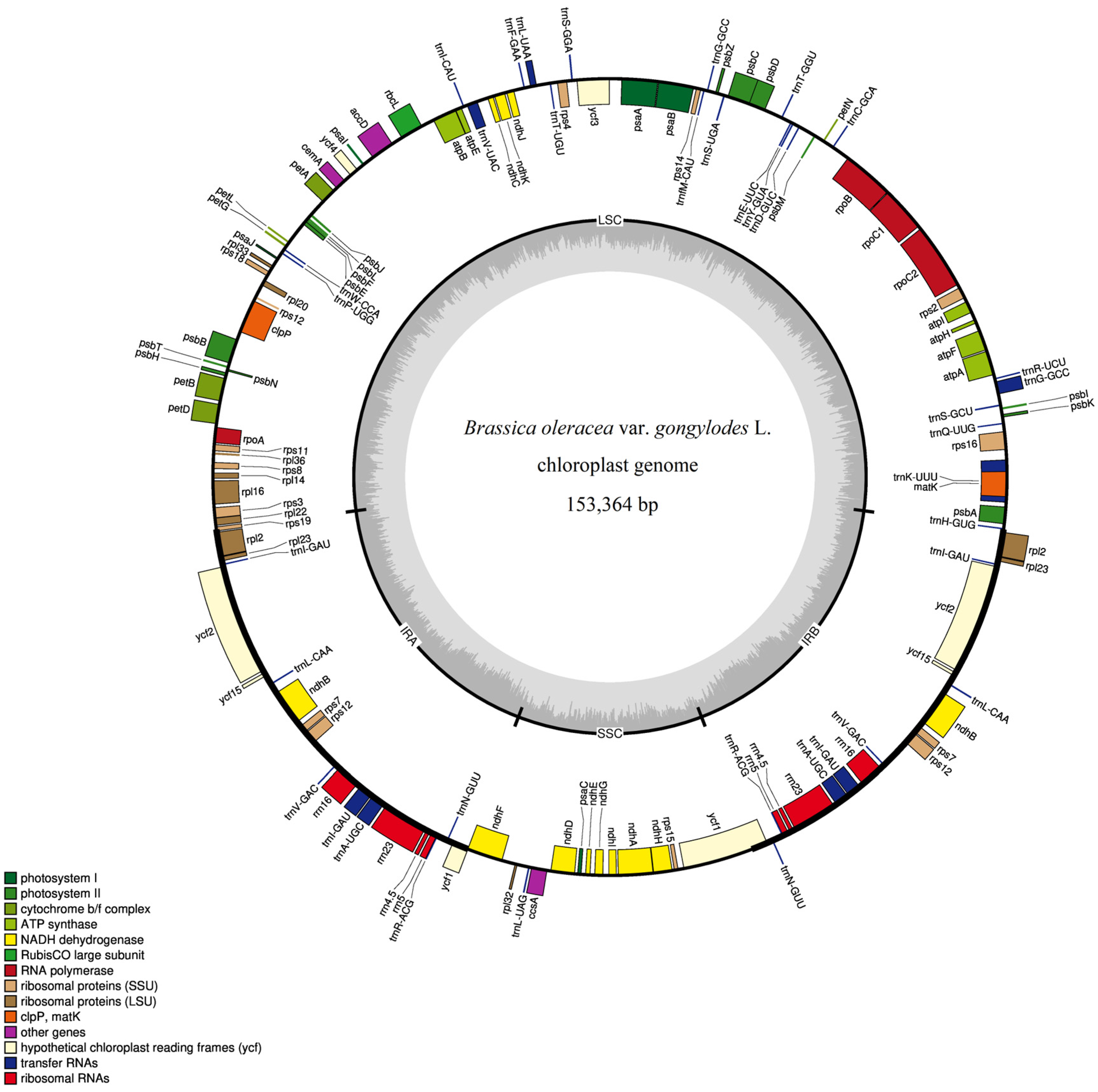 Genes 15 00550 g002