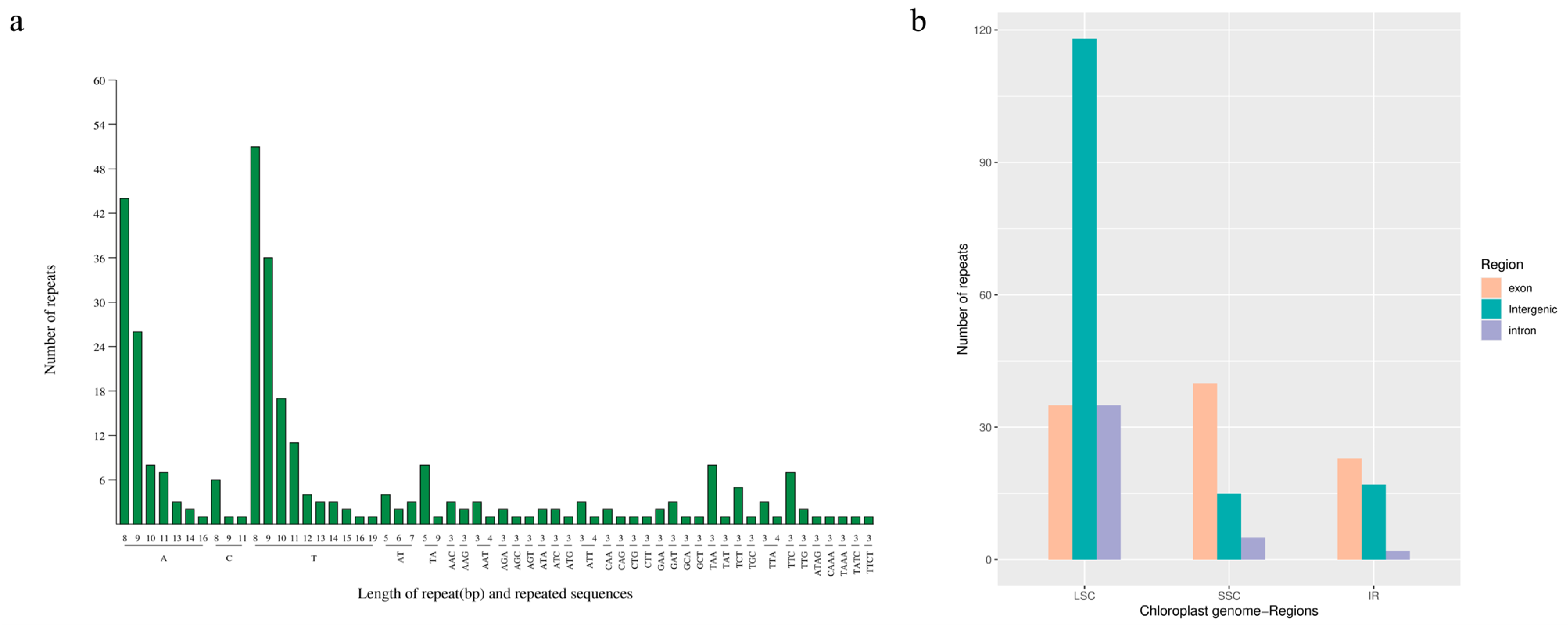Genes 15 00550 g005