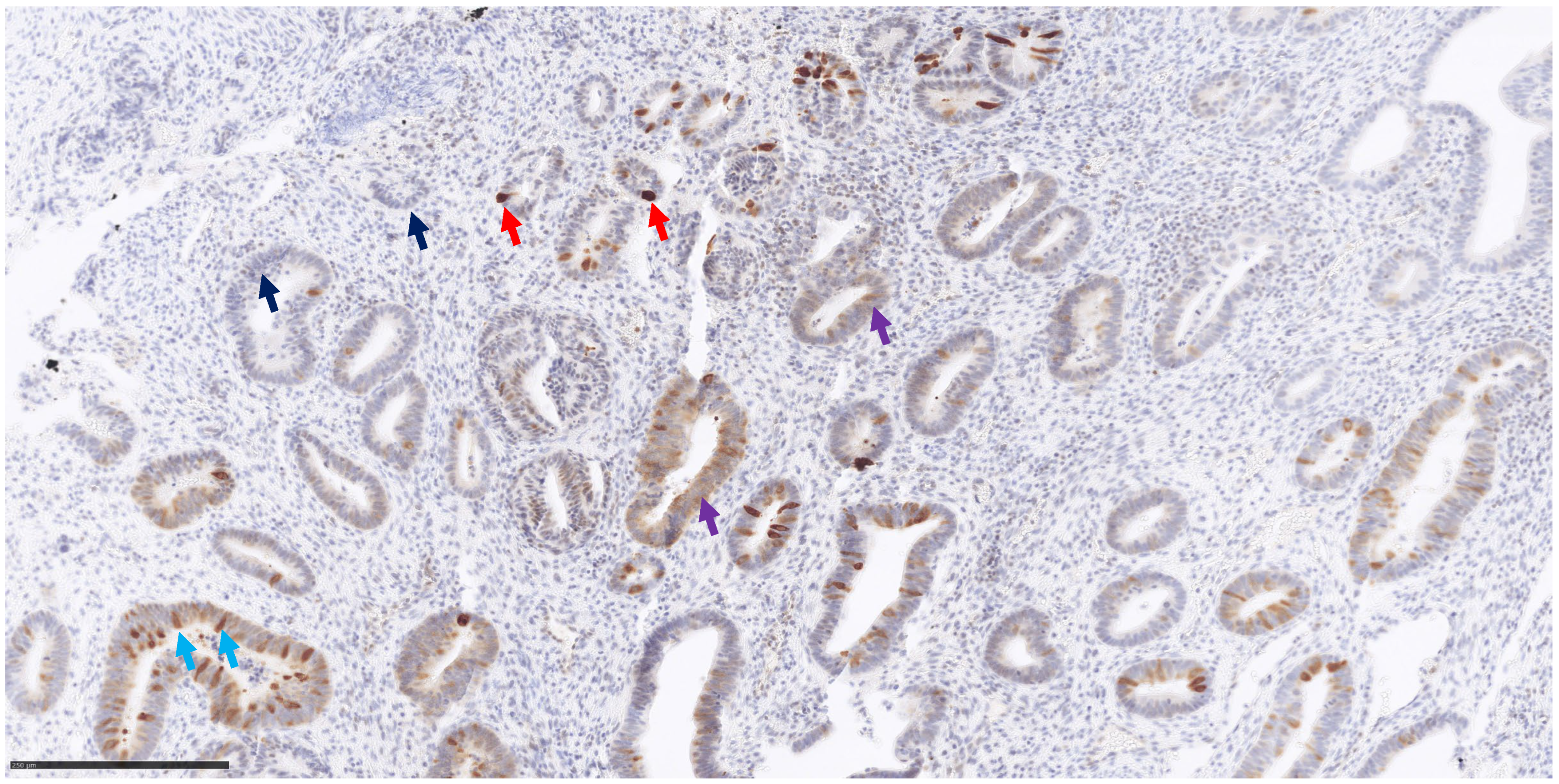 Genes 15 00554 g001 Genes 15 00554 g001
