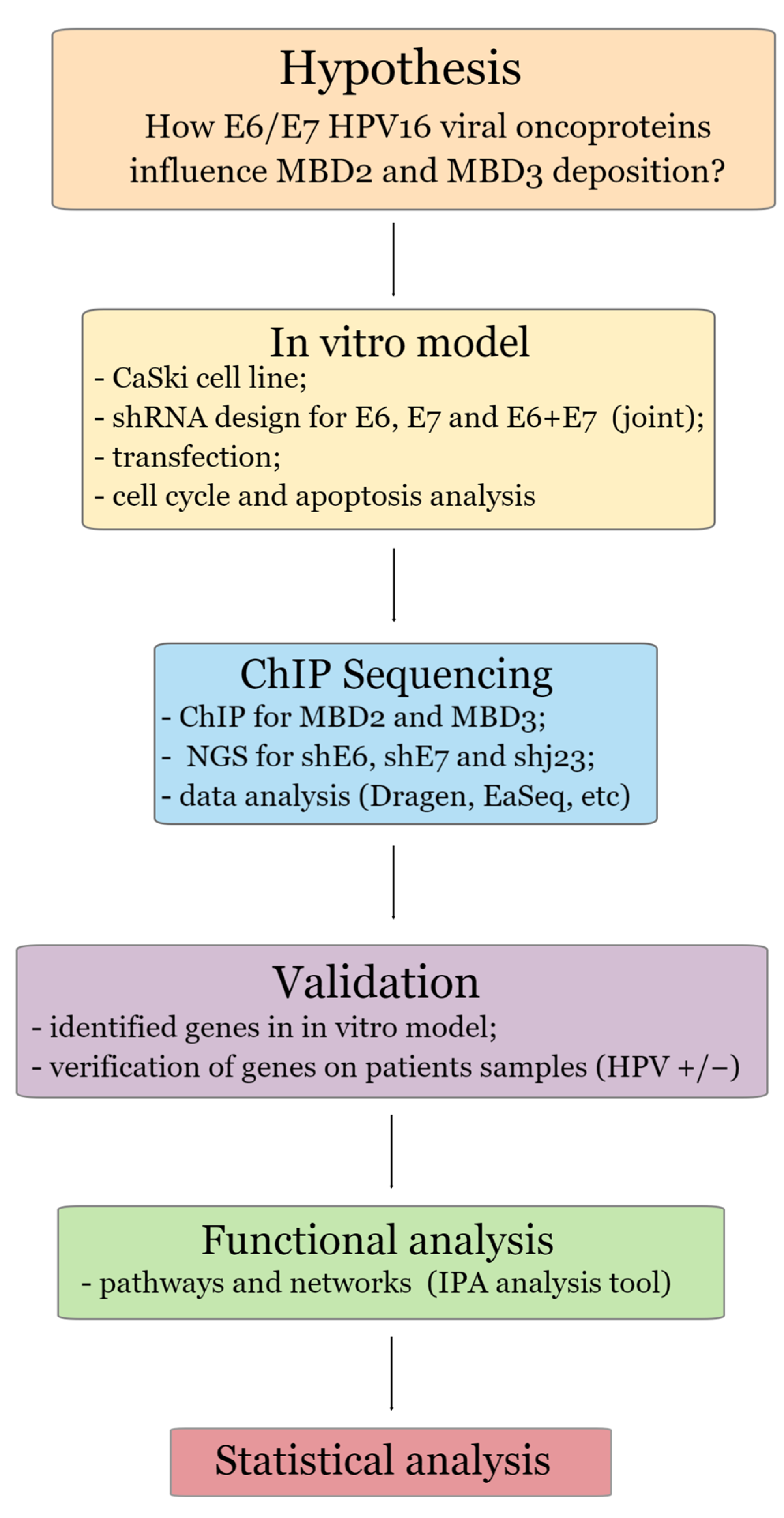 Genes 15 00560 g001