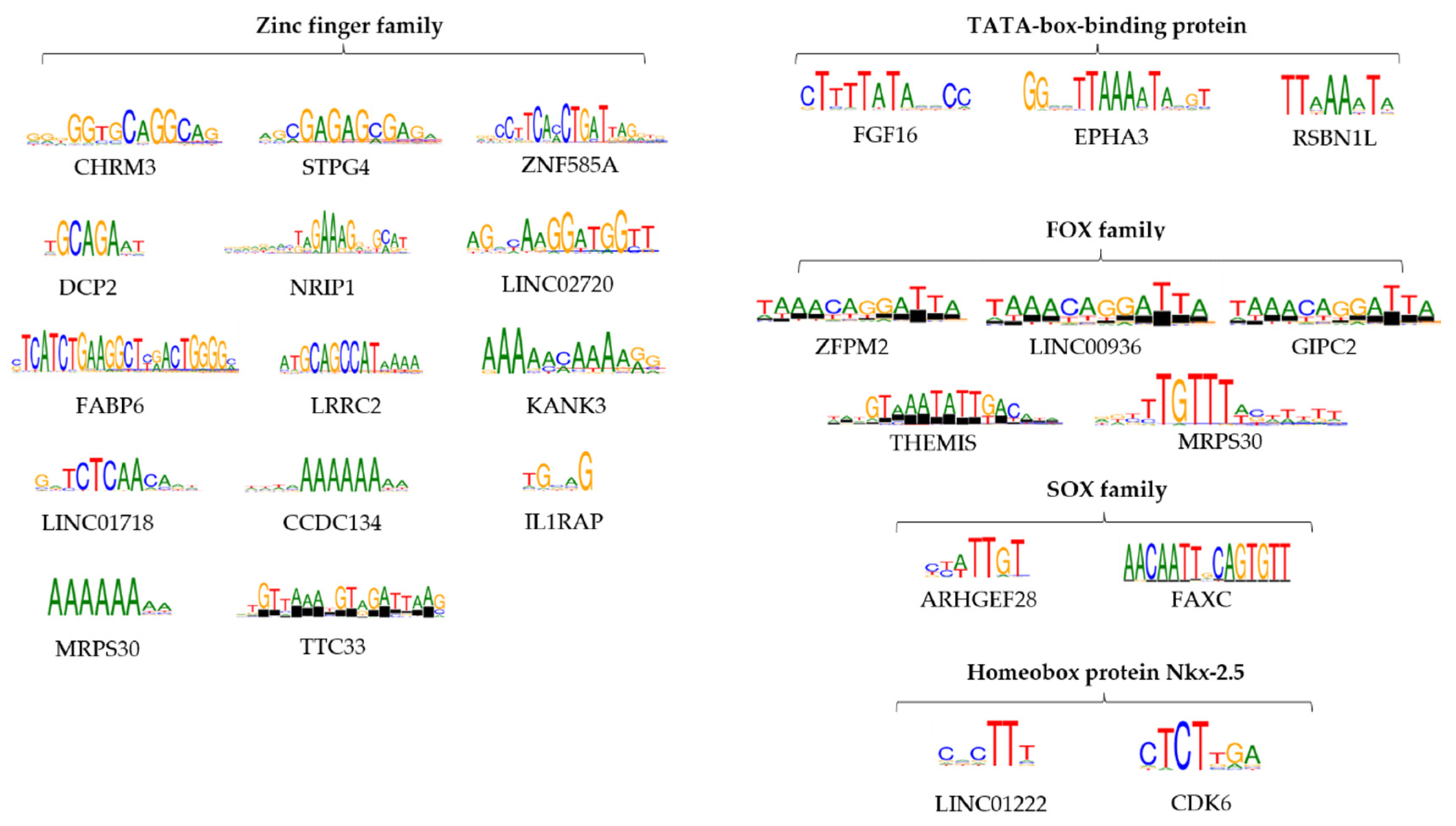 Genes 15 00560 g006