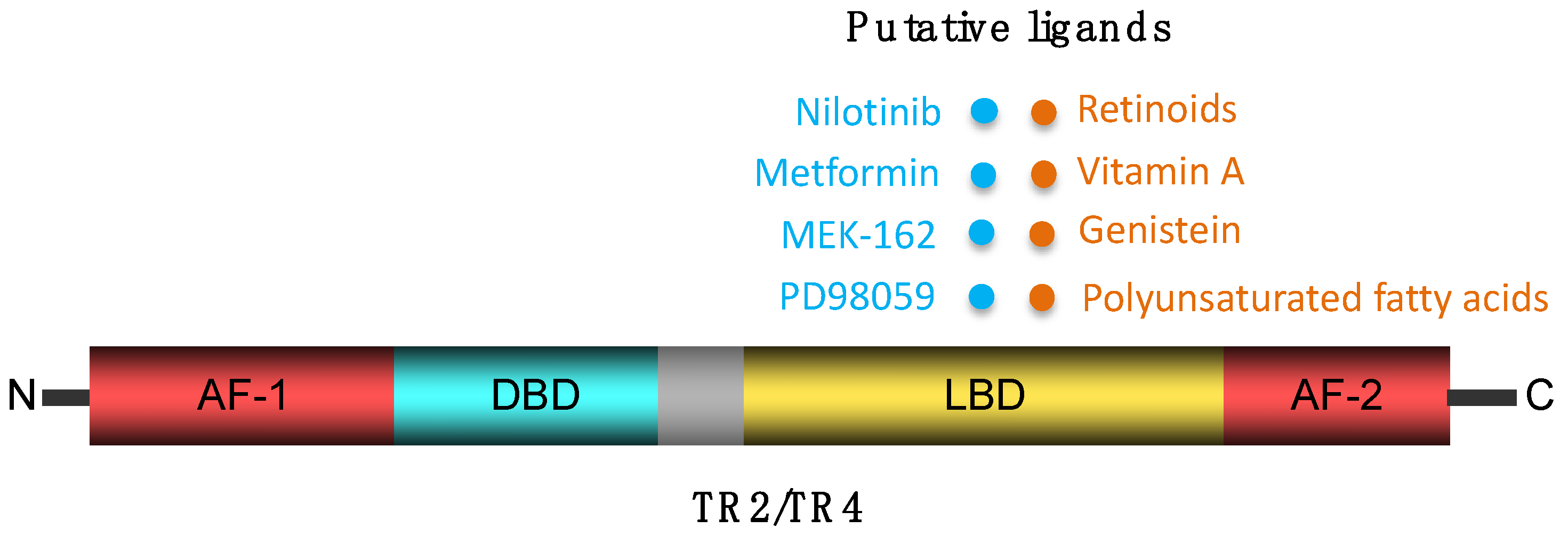 Genes 15 00563 g001