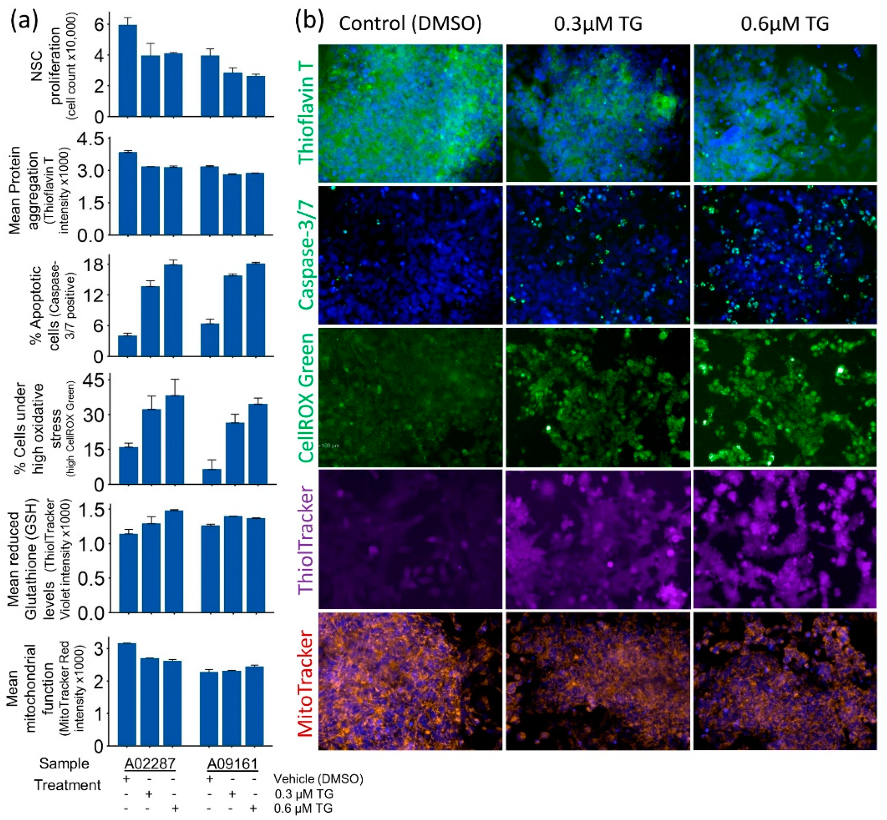 Genes 15 00569 g002