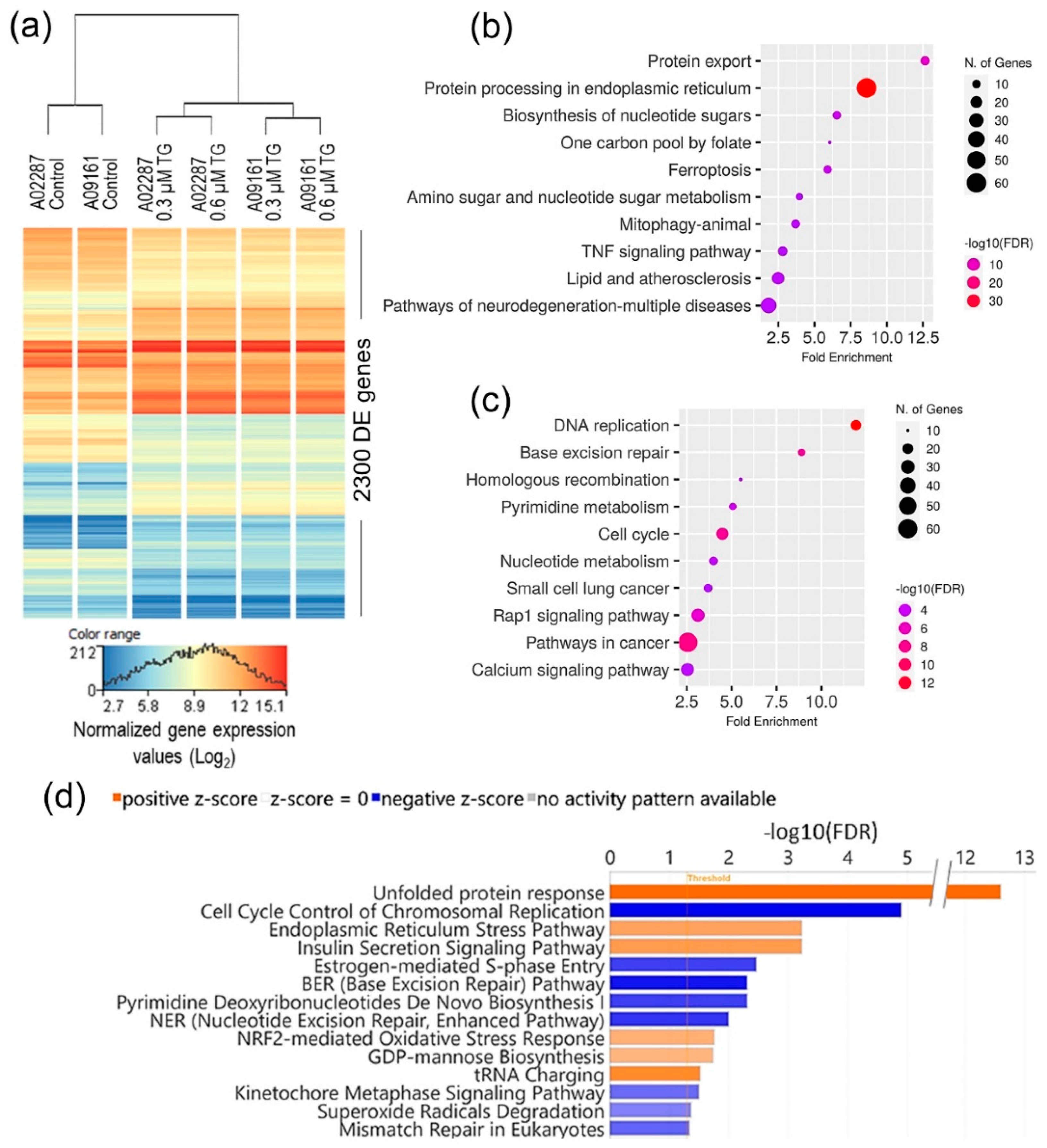 Genes 15 00569 g003