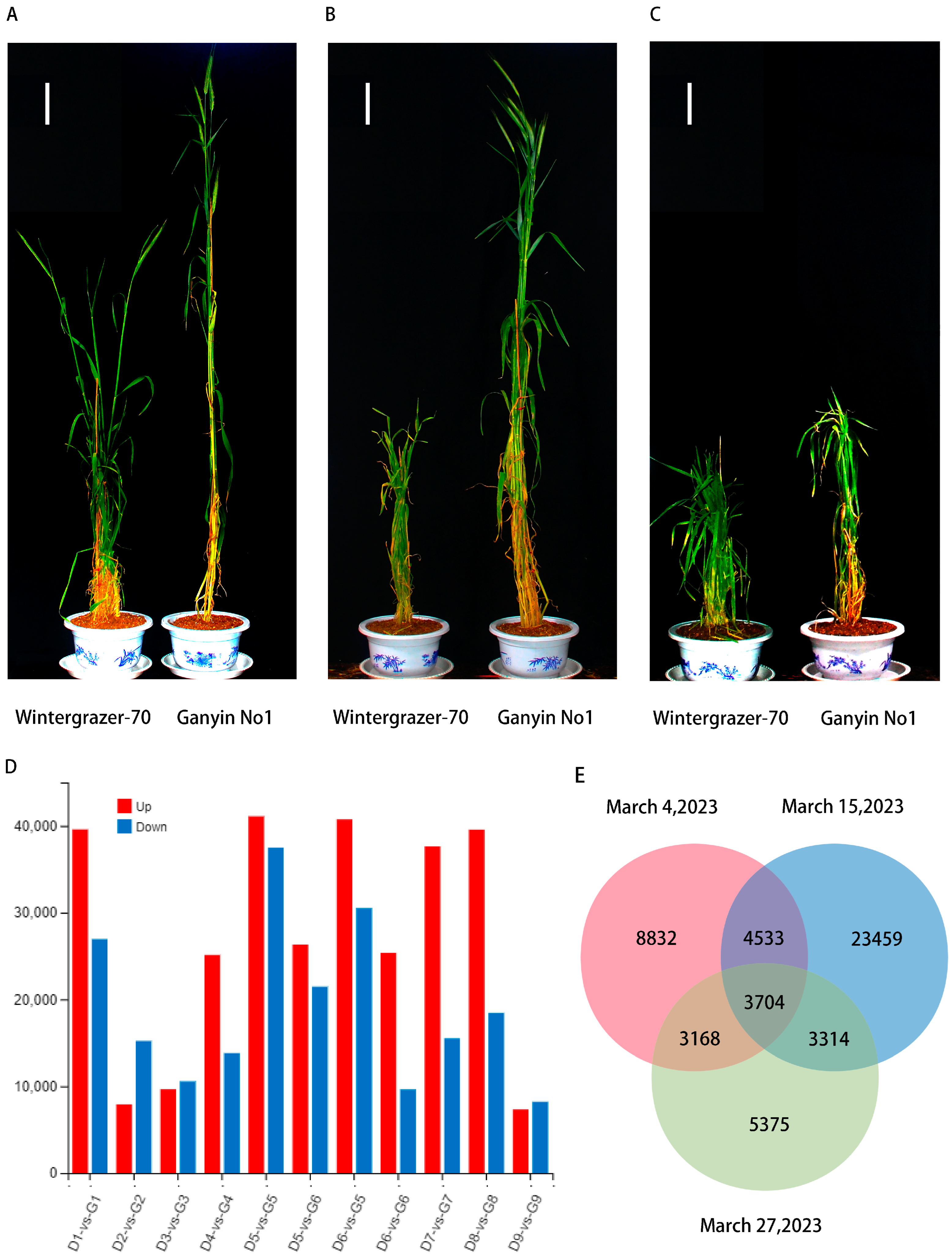Genes 15 00572 g002 Genes 15 00572 g002