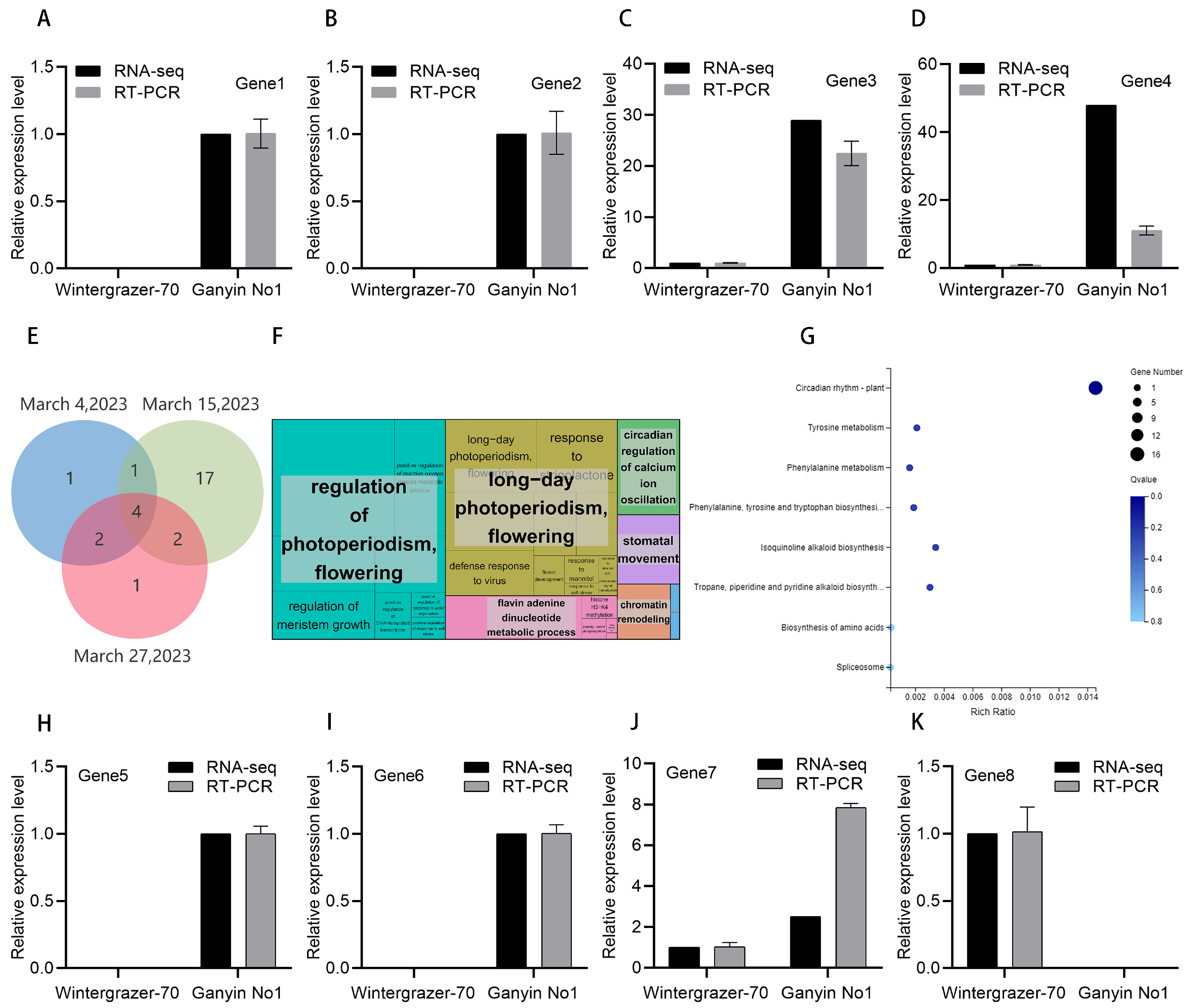 Genes 15 00572 g005 Genes 15 00572 g005
