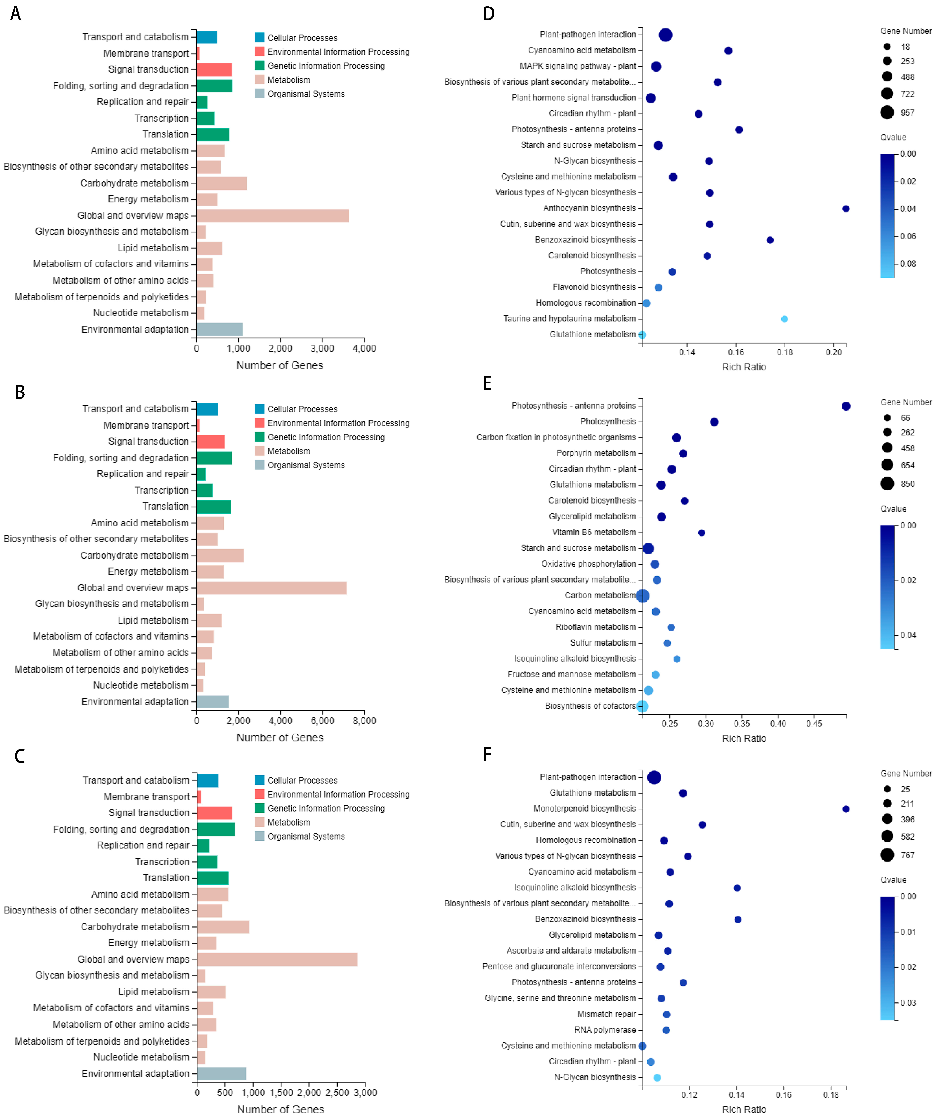 Genes 15 00572 g006 Genes 15 00572 g006