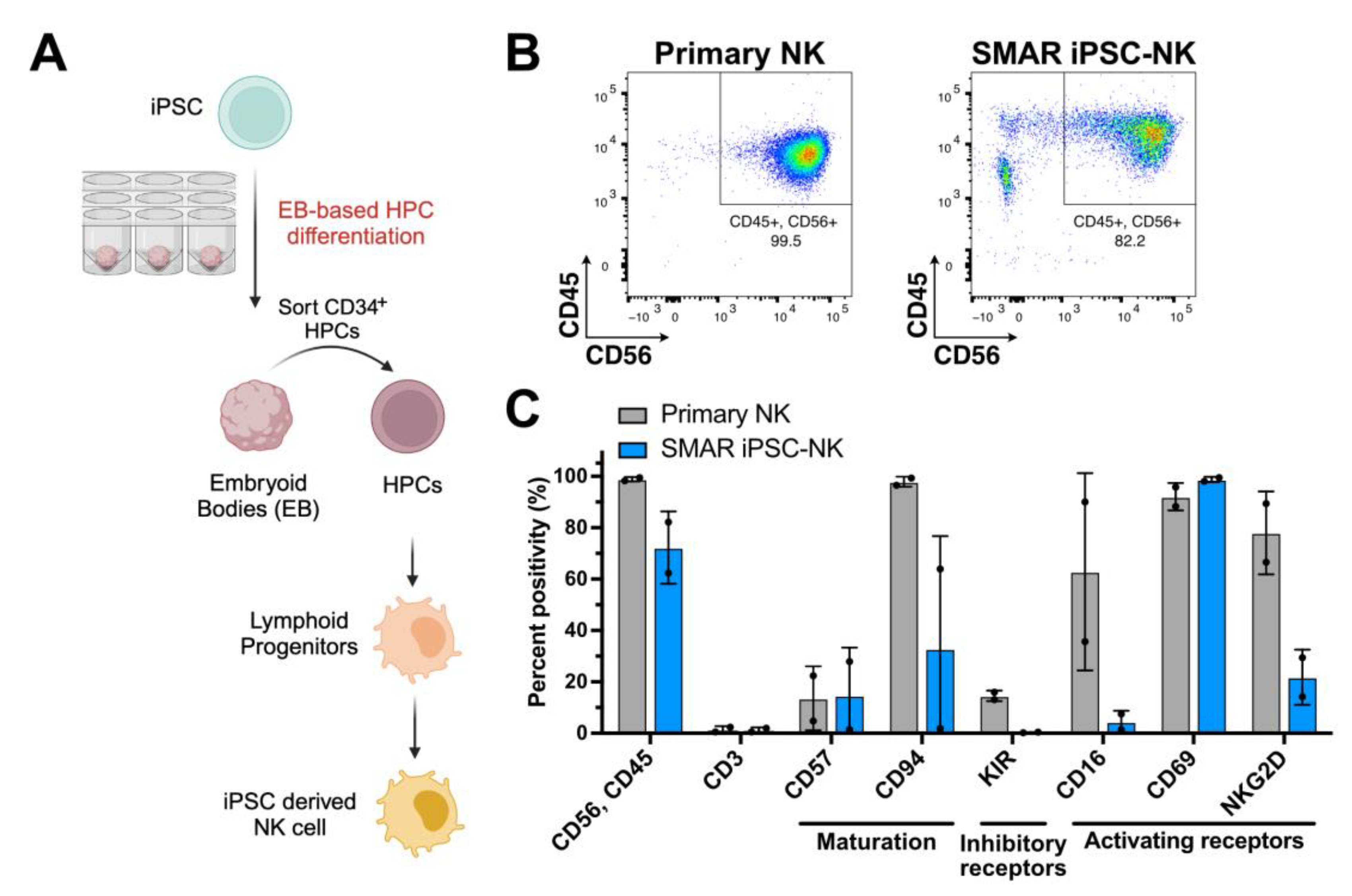 Genes 15 00575 g004