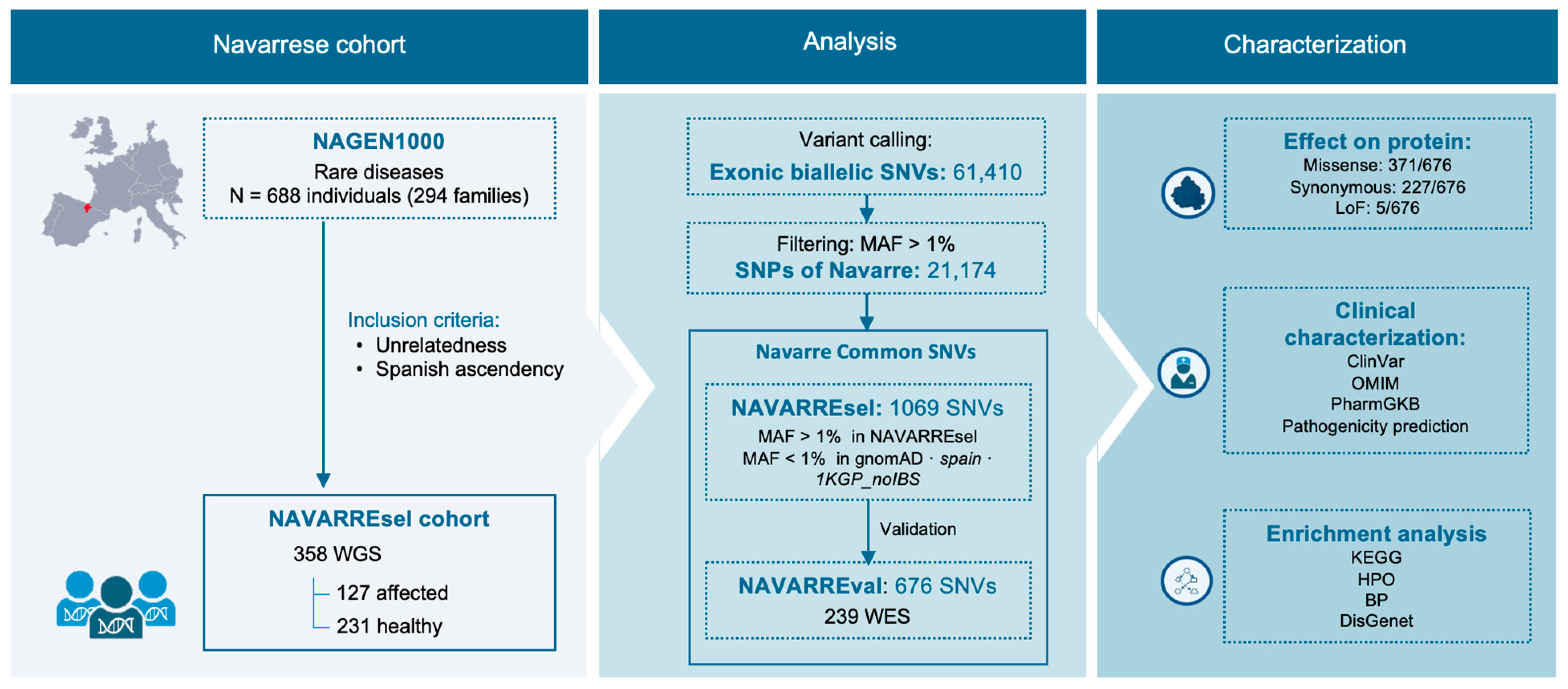 Genes 15 00585 g001