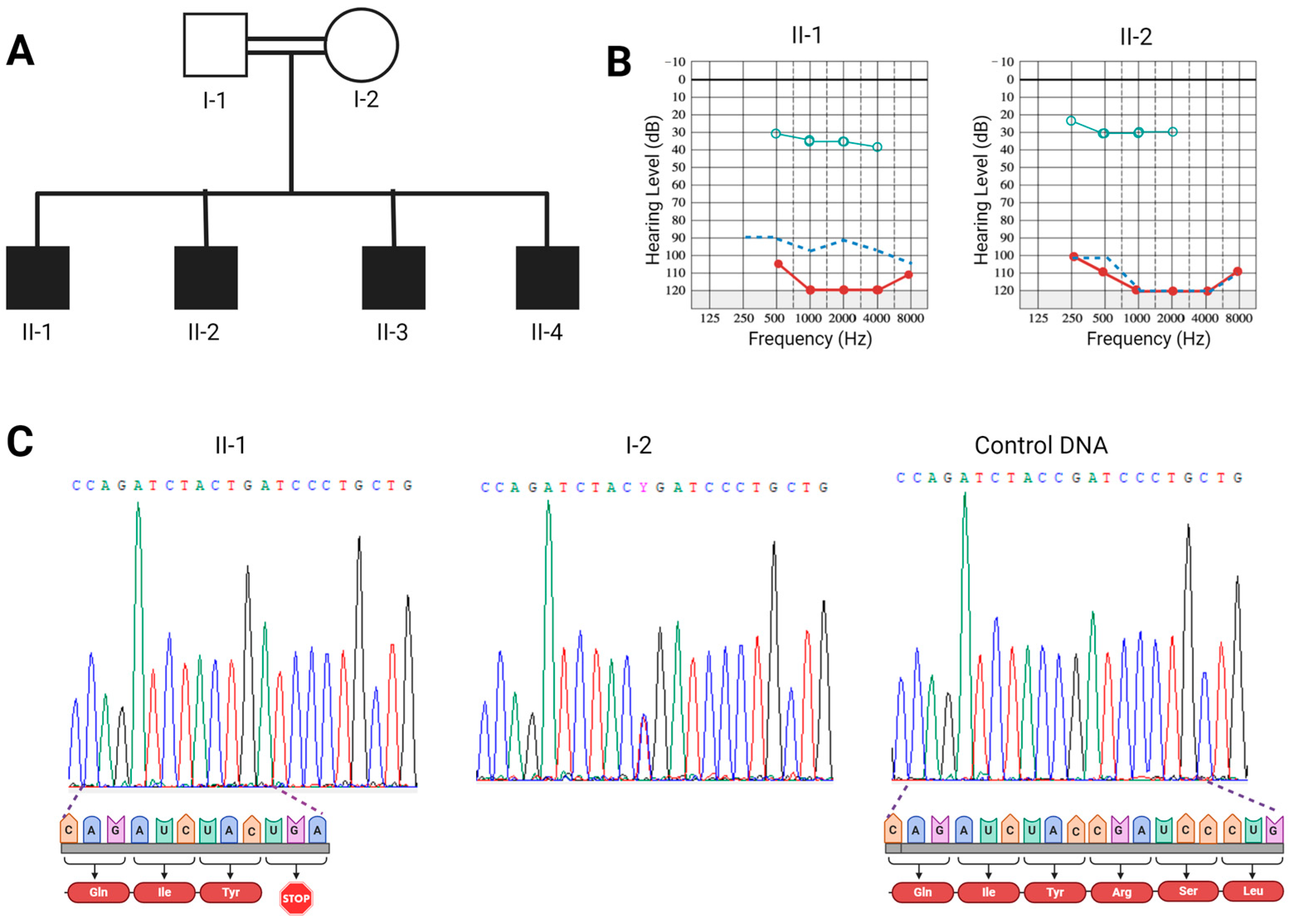 Genes 15 00588 g001 Genes 15 00588 g001