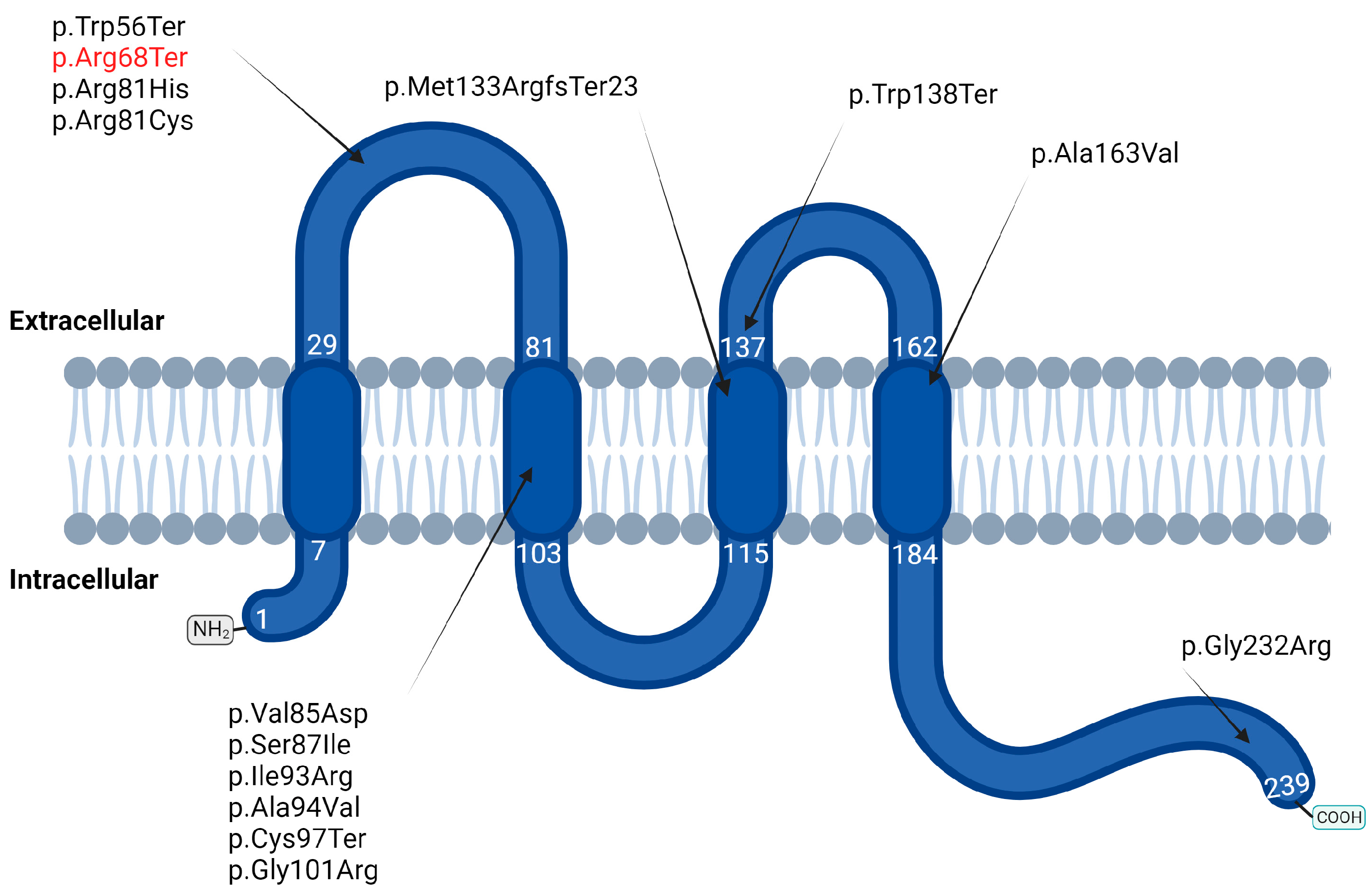 Genes 15 00588 g002 Genes 15 00588 g002