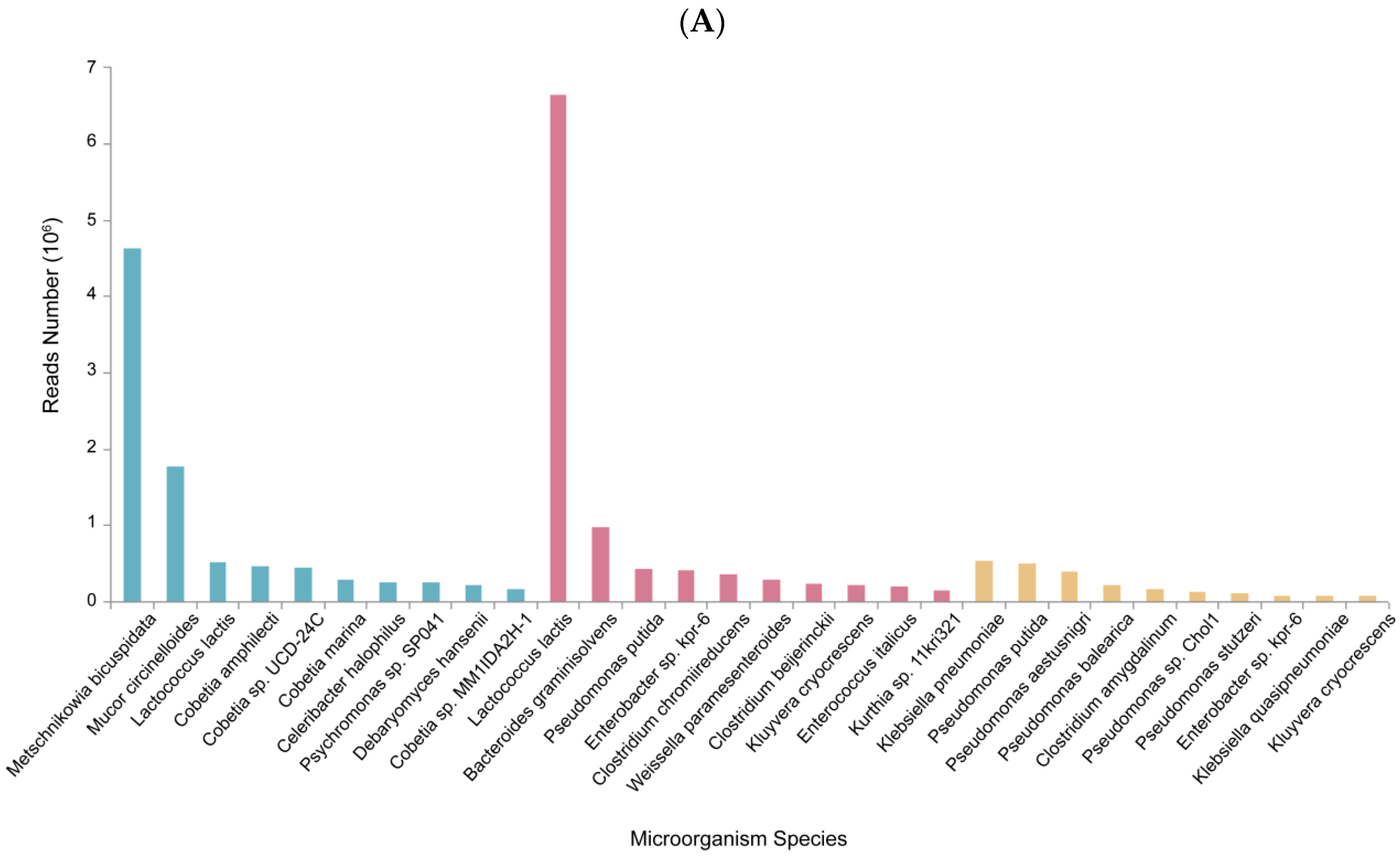 Genes 15 00598 g001a