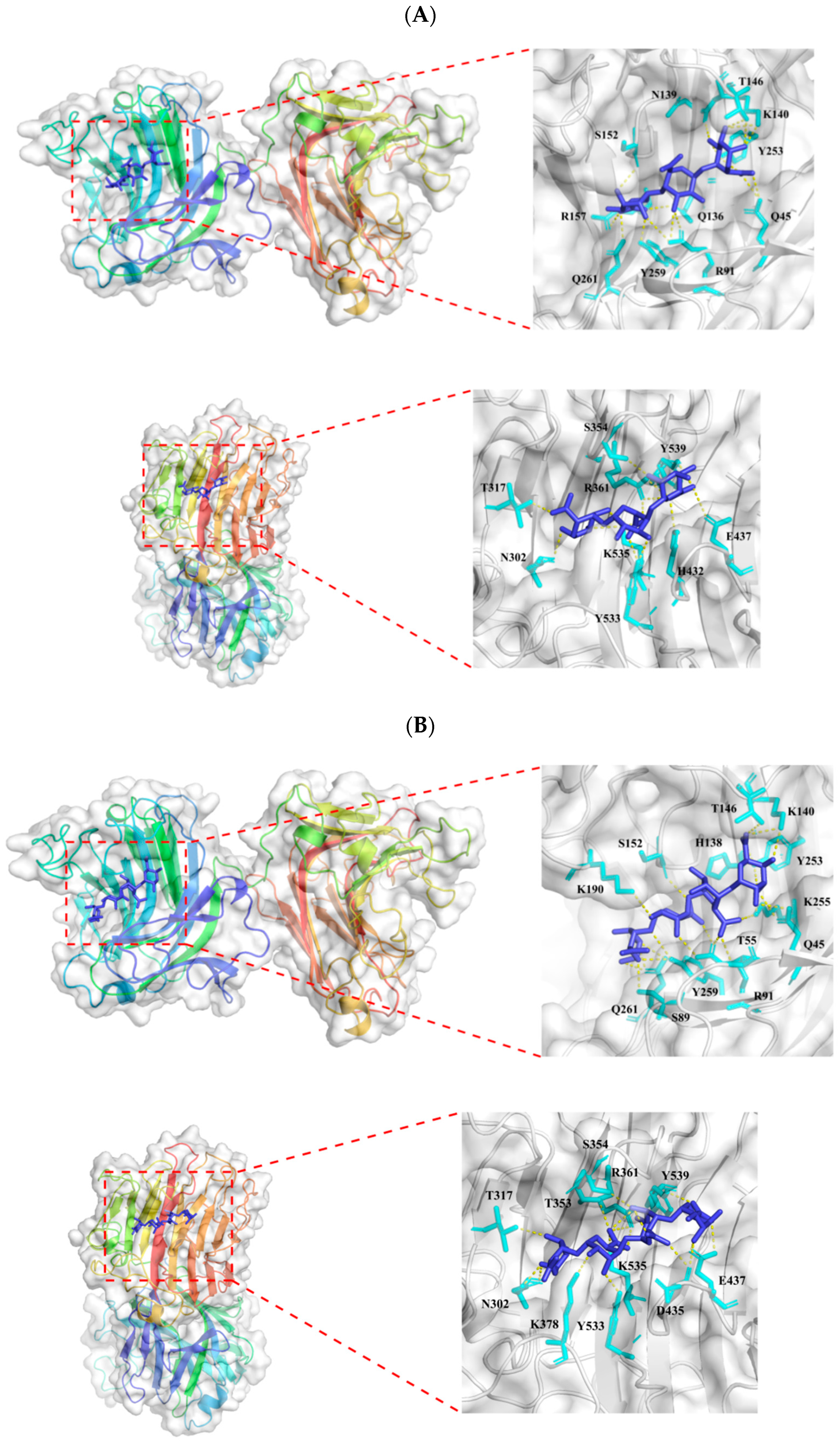 Genes 15 00598 g003a