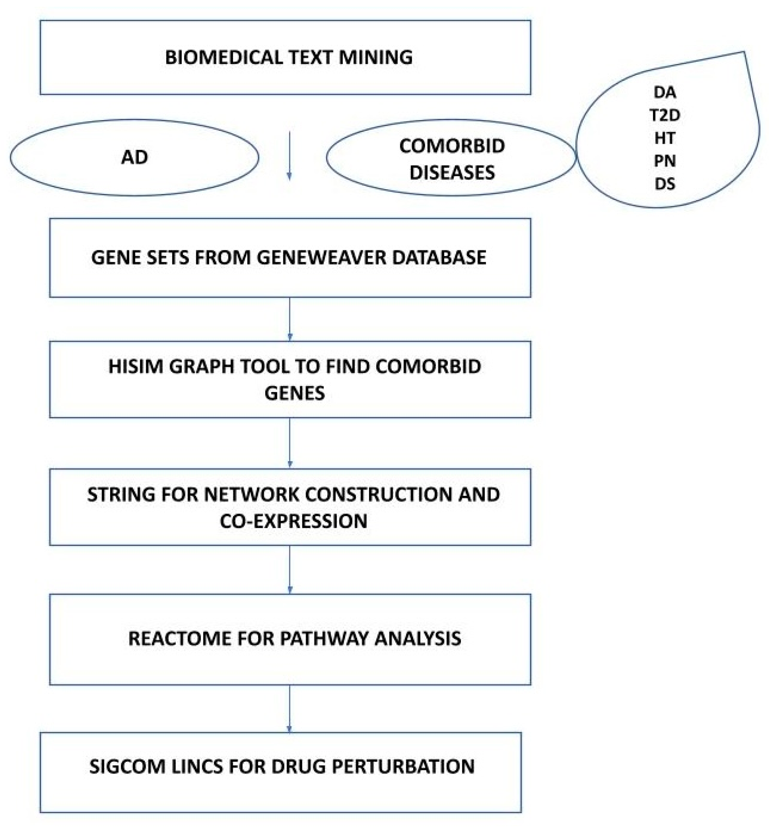 Genes 15 00614 g001