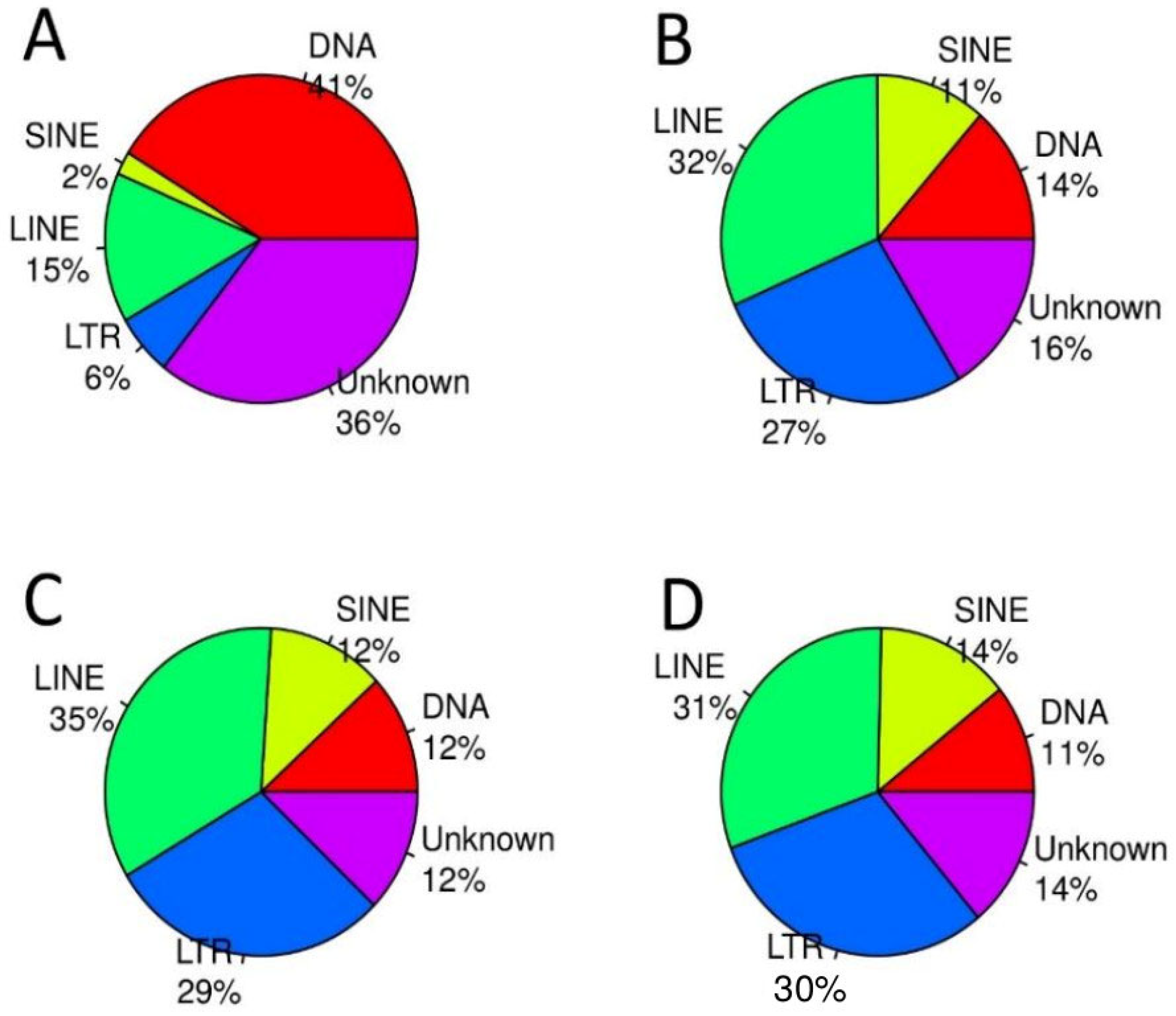 Genes 15 00620 g001 Genes 15 00620 g001
