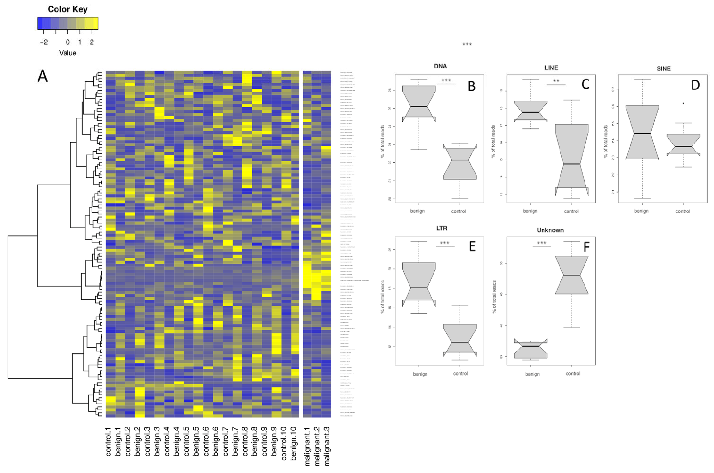 Genes 15 00620 g003 Genes 15 00620 g003